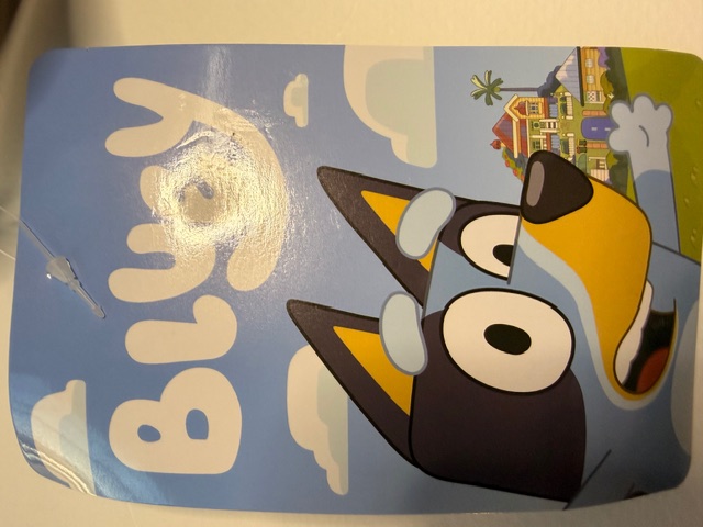 Bluey Soft Lunch Bag