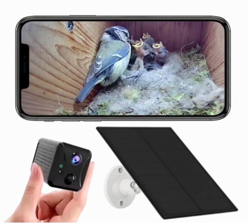 PeekWild Solar WiFi Bird Box Camera