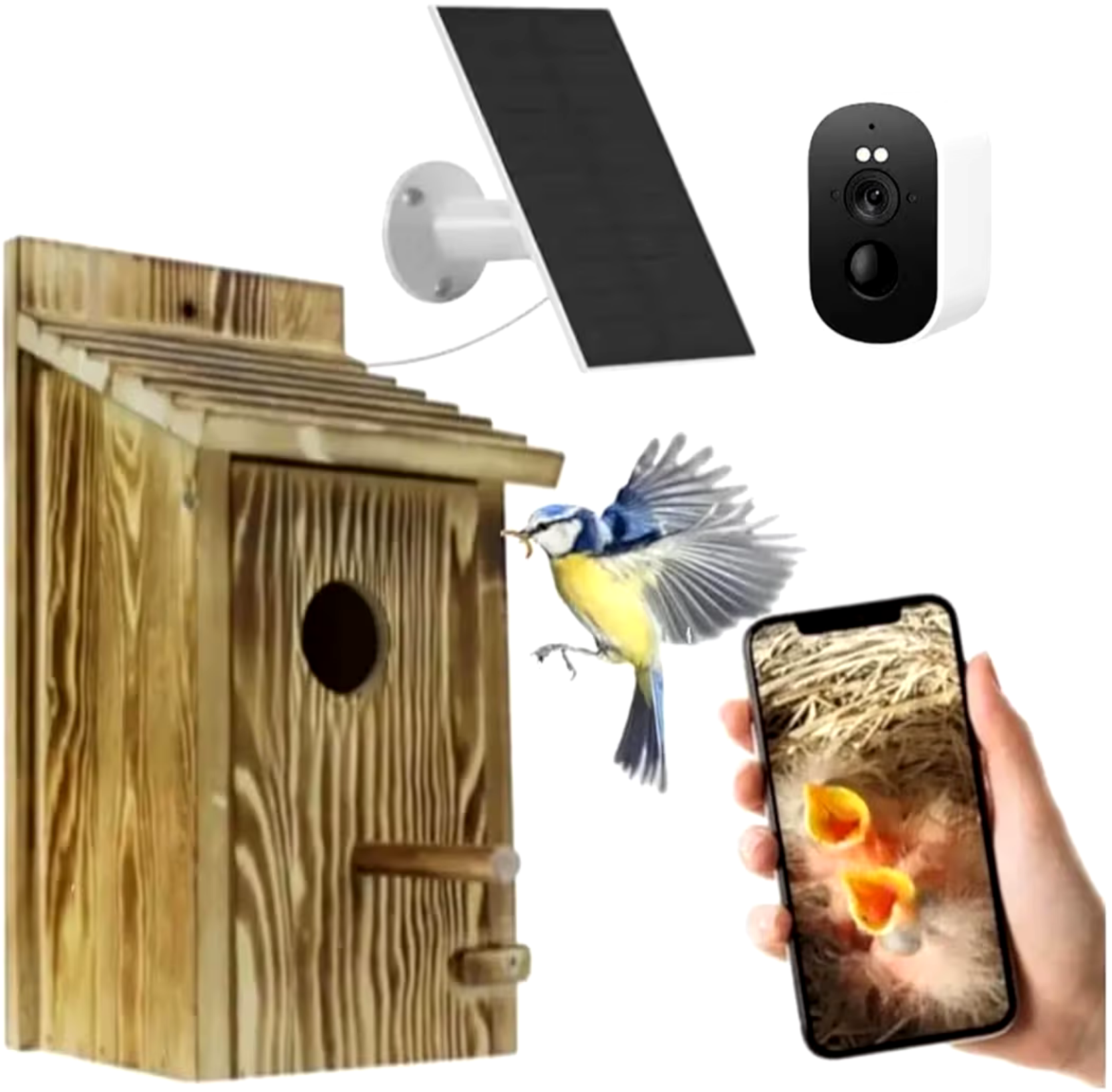 Smart Solar Birdhouse with HD Wi-Fi Camera and Night Vision