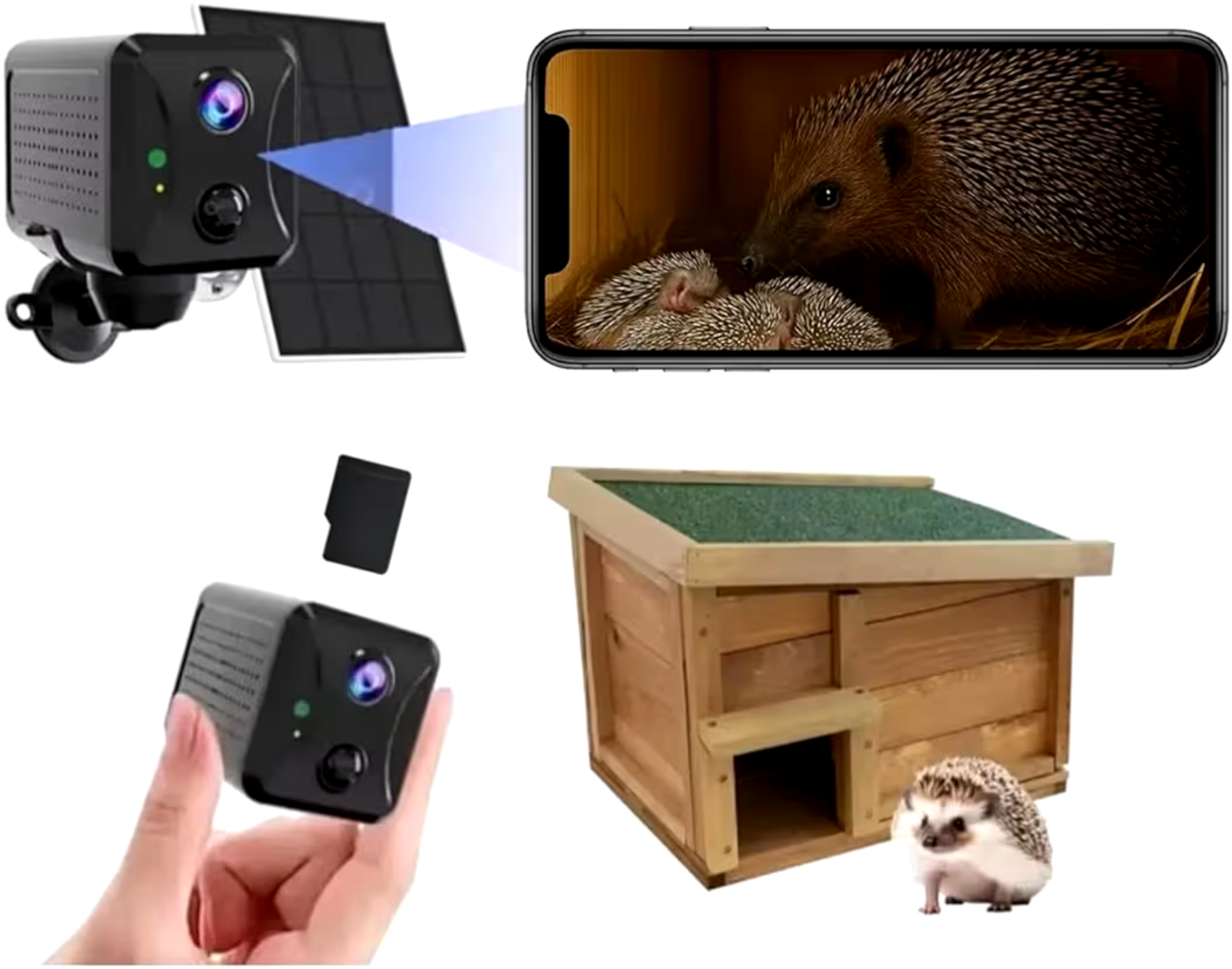 PeekWild Smart Solar Hedgehog Camera – Wildlife Monitoring Kit