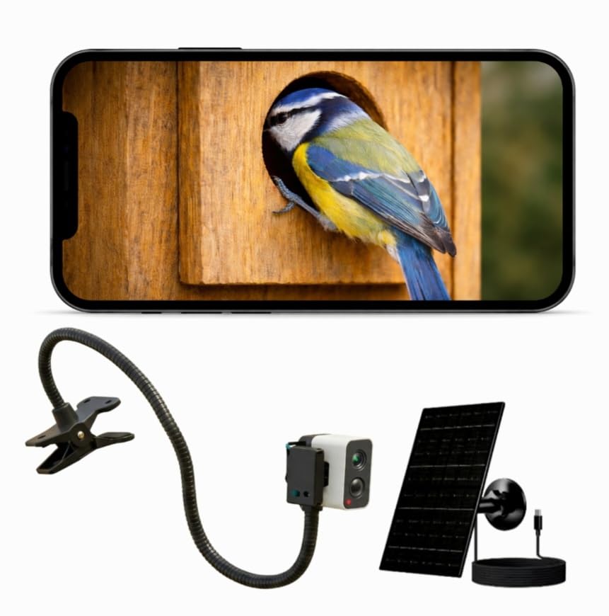 Nest Box Solar Camera For Entrance Monitoring 