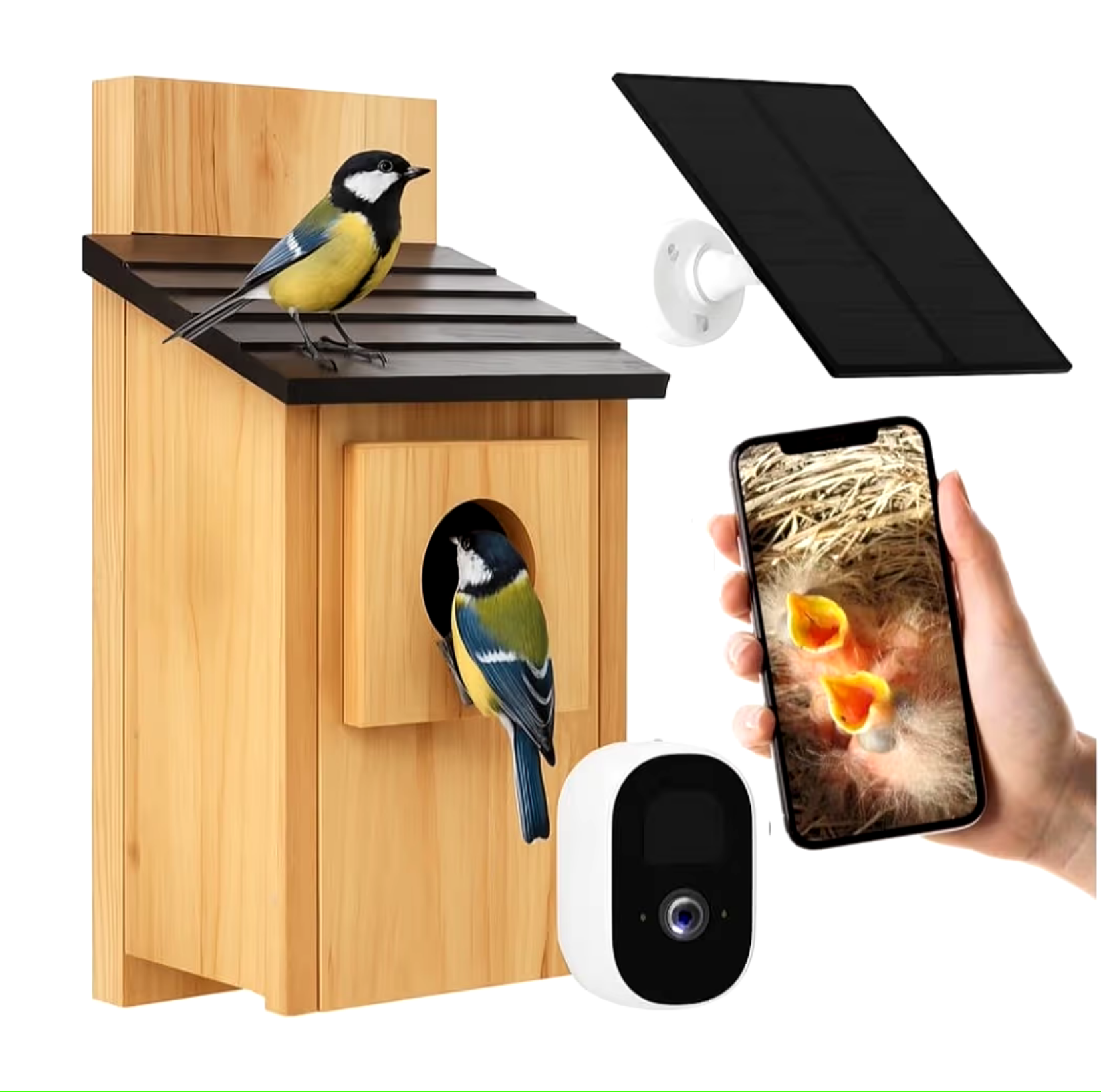 PeekWild Smart Birdhouse with HD Wi-Fi Camera and Solar Panel