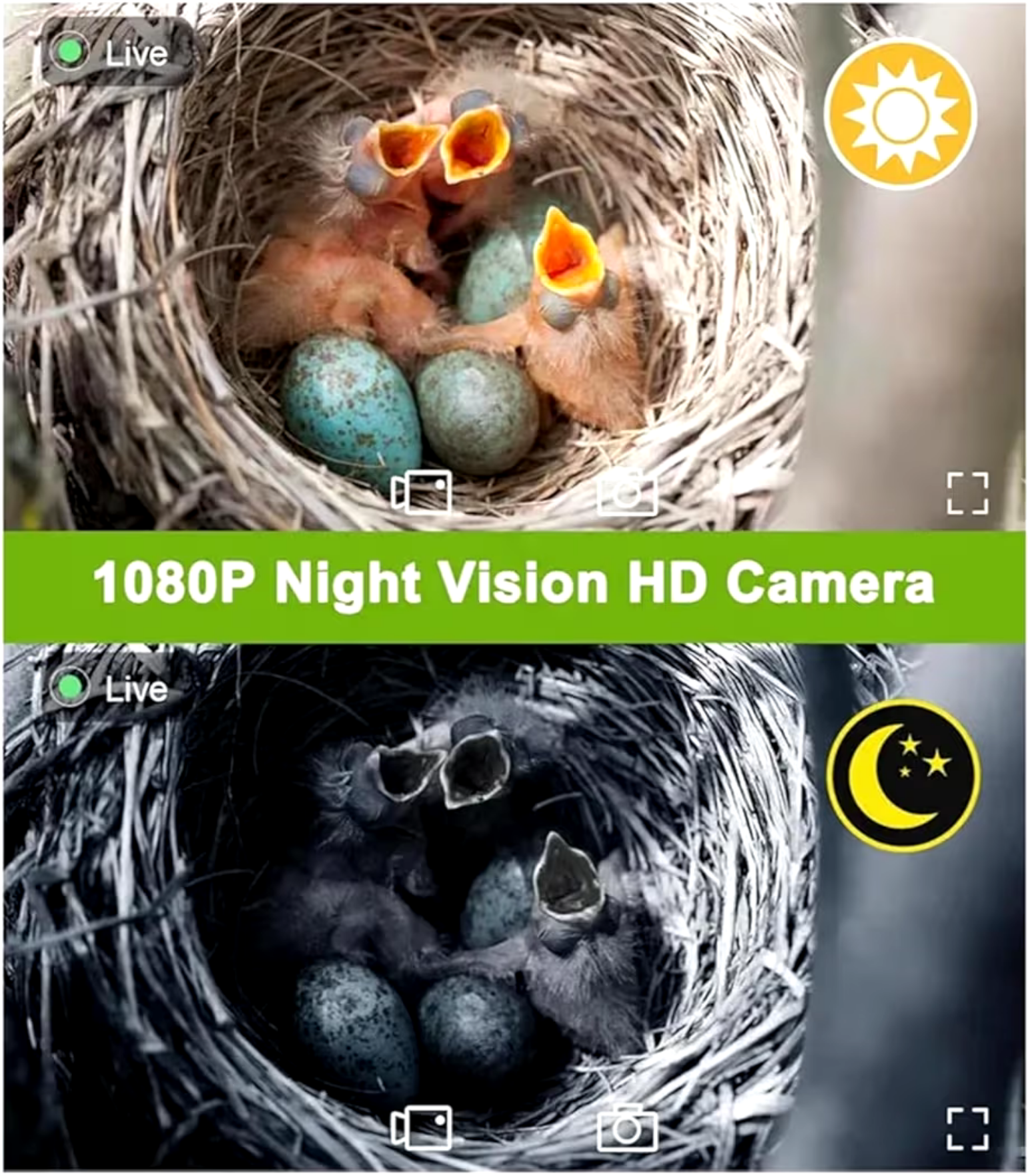 Smart Solar Birdhouse with HD Wi-Fi Camera and Night Vision