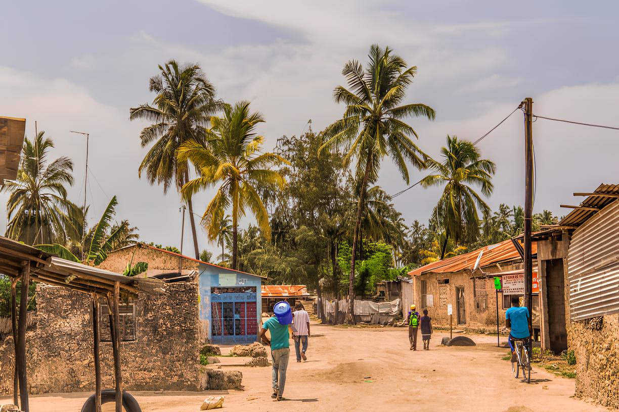 Swahili Villages & Kaya Kinondo Tour