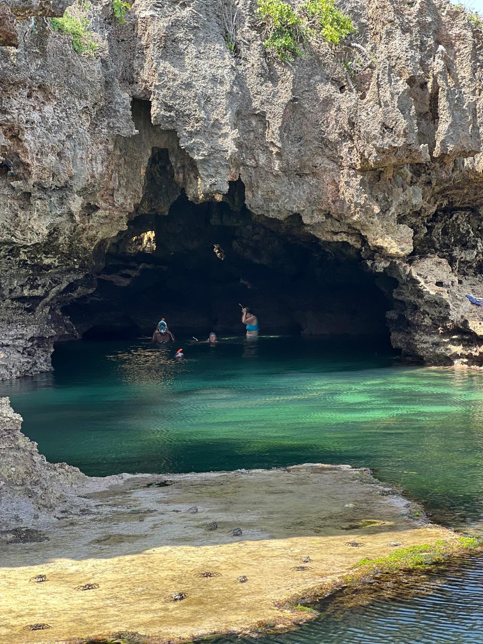 African Pool & Starfish Island Tour