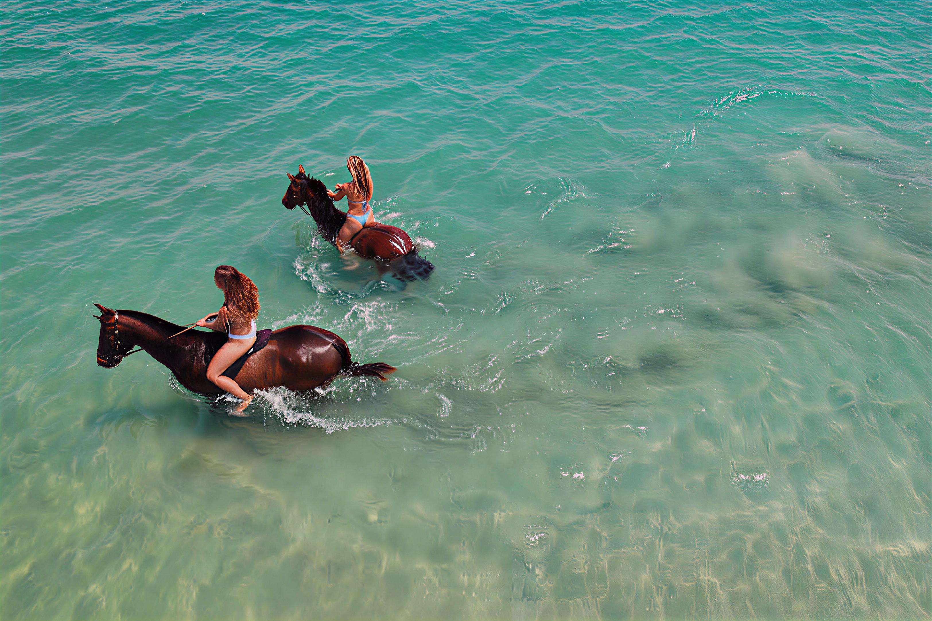 Horse & Camel Riding