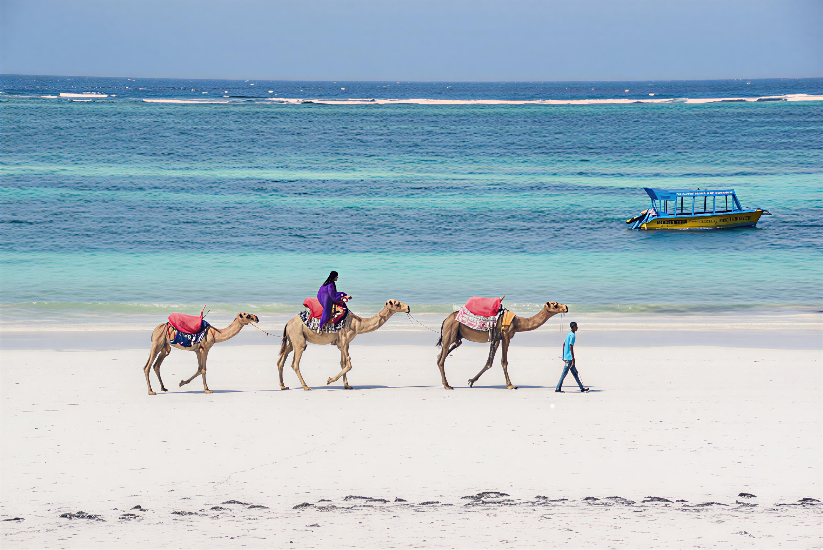 Horse & Camel Riding