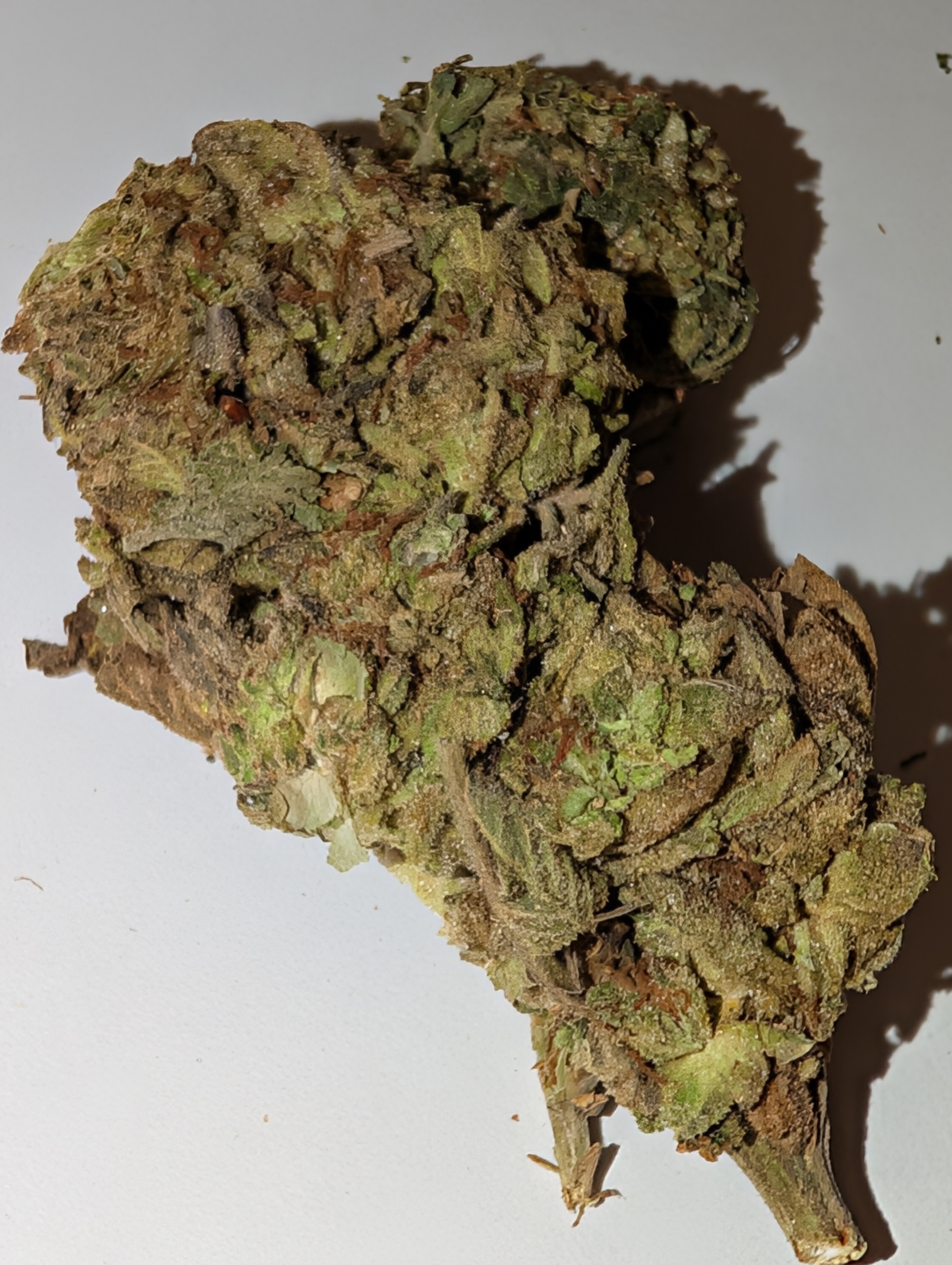 Space Fruit - sativa dom          Rating:50z-80/2z