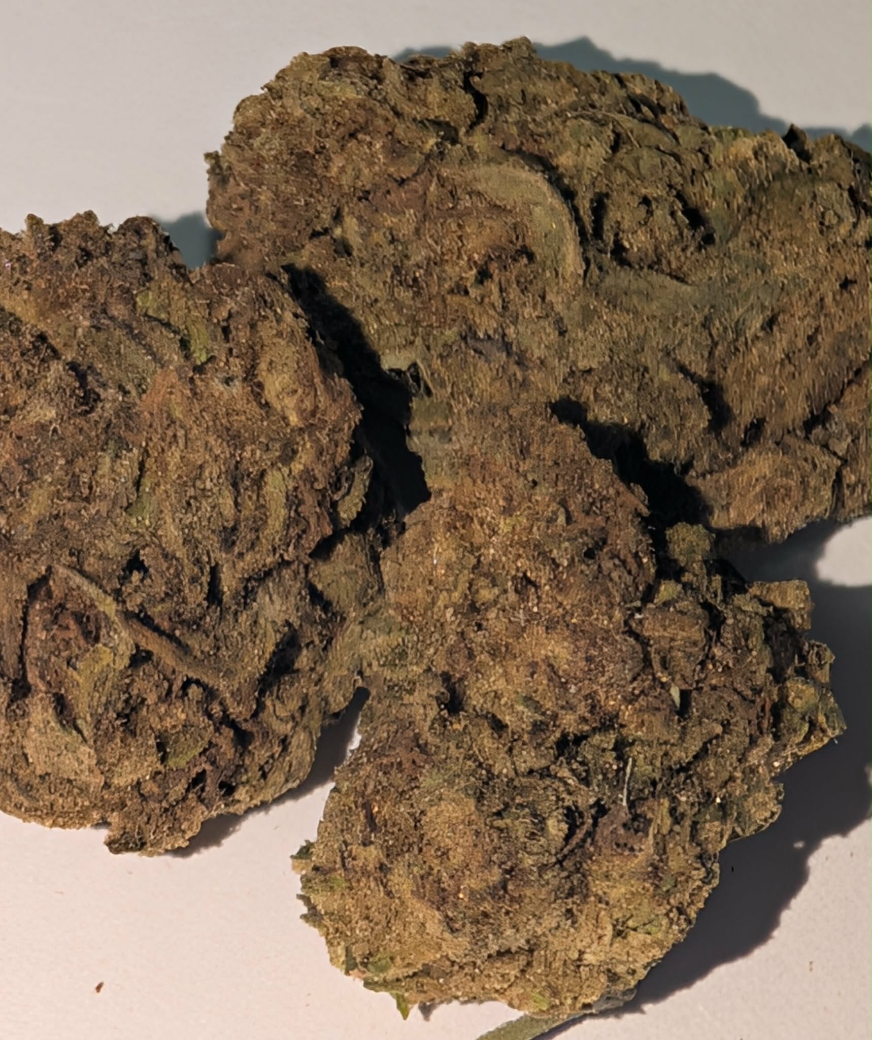 Monkey Punch - indica dom           Rating: 50 - 80