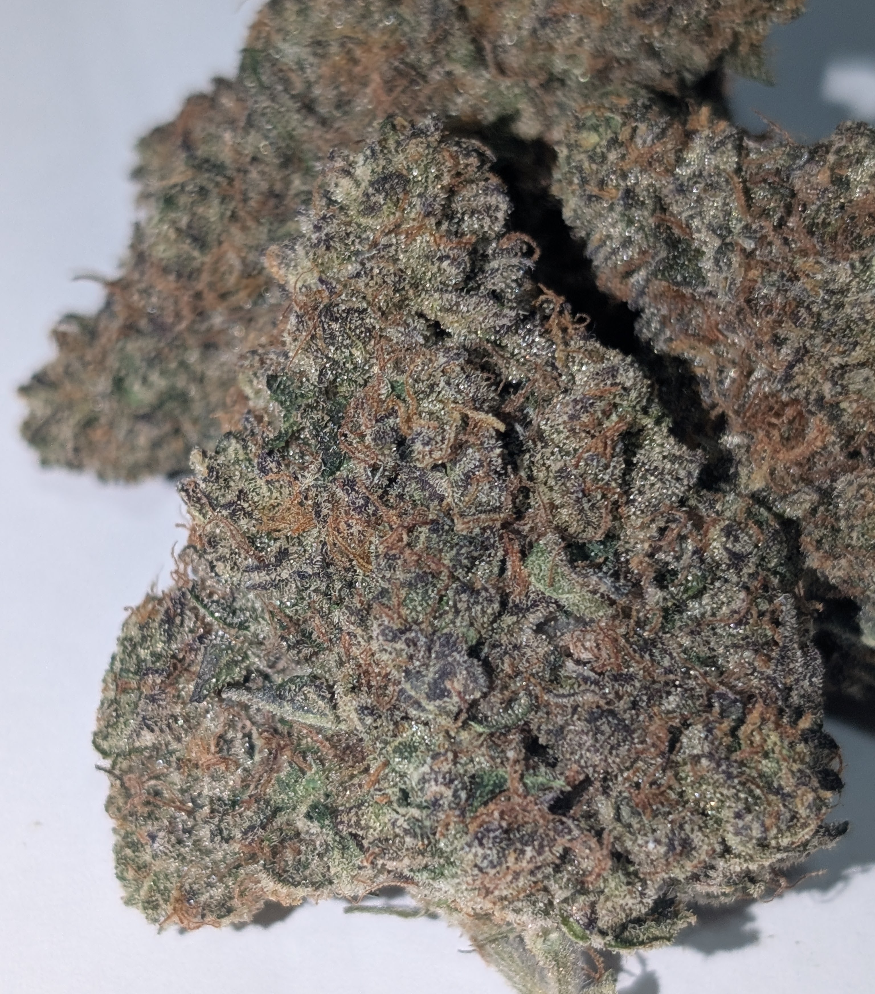 Poison Apple -  sativa dom.        Rating: 40-60-110