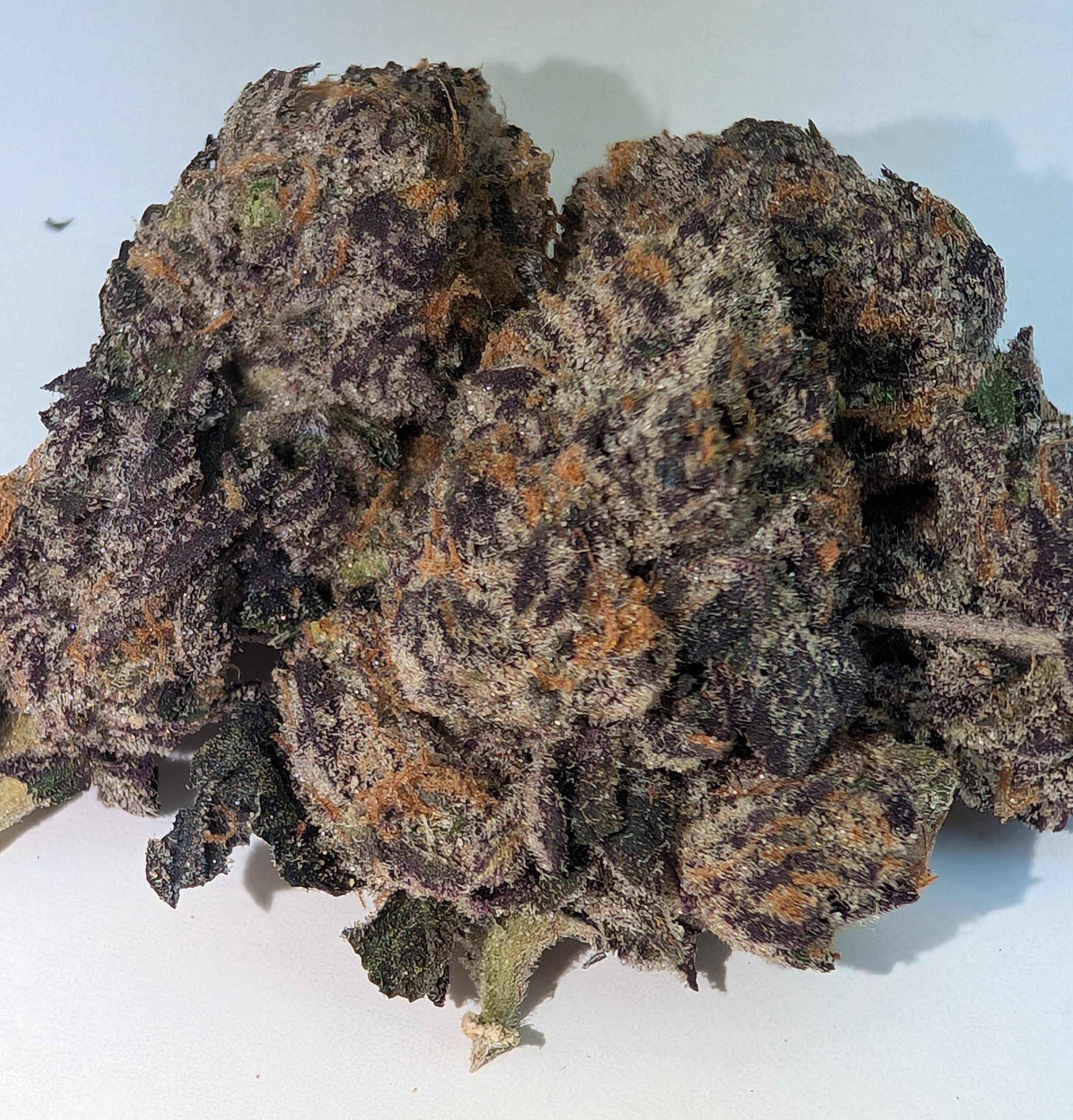 Pink Goo - indica   Rating:50/70/130