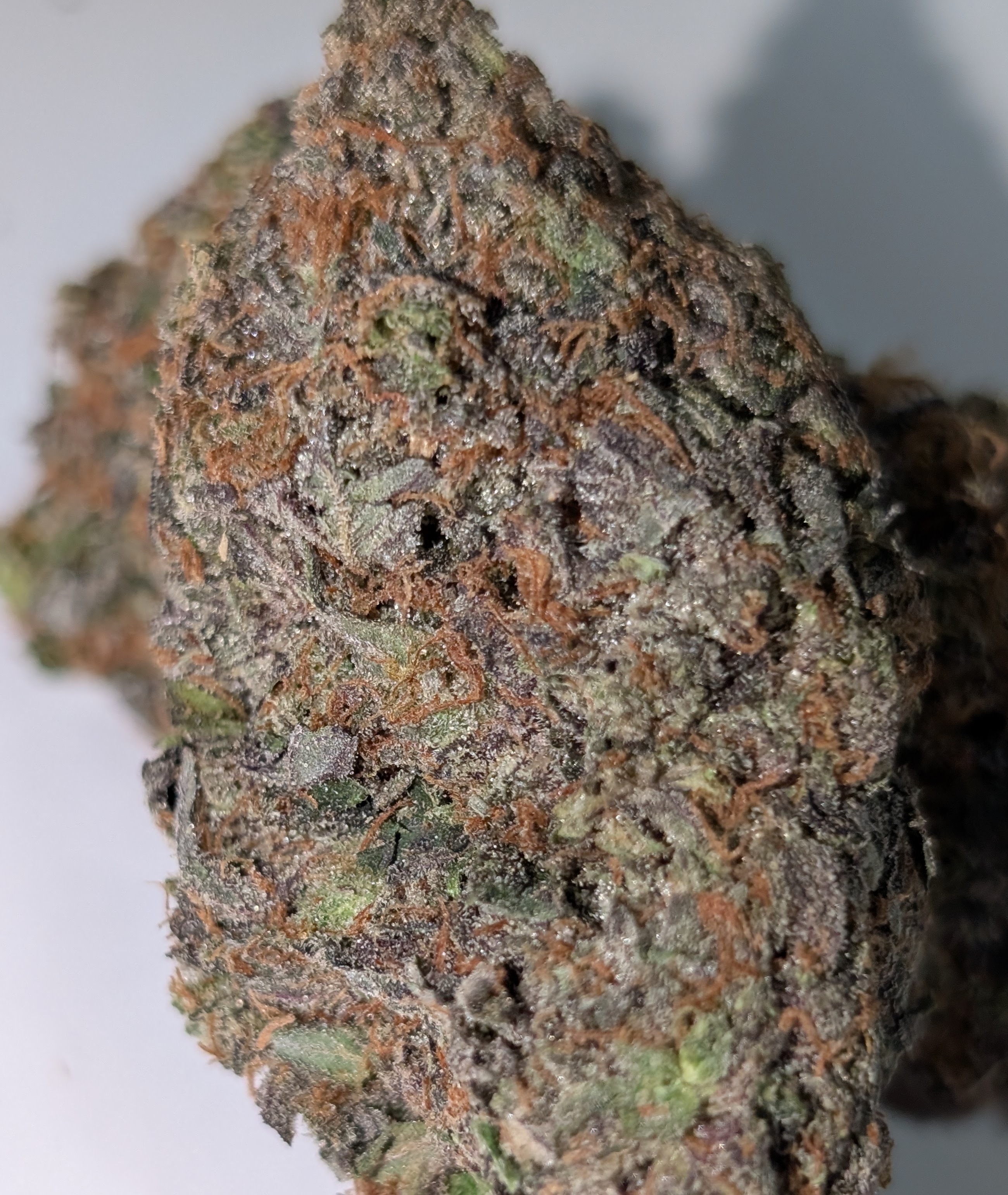 Island Pink Kush - indica dom.          Rating: 40-65-120