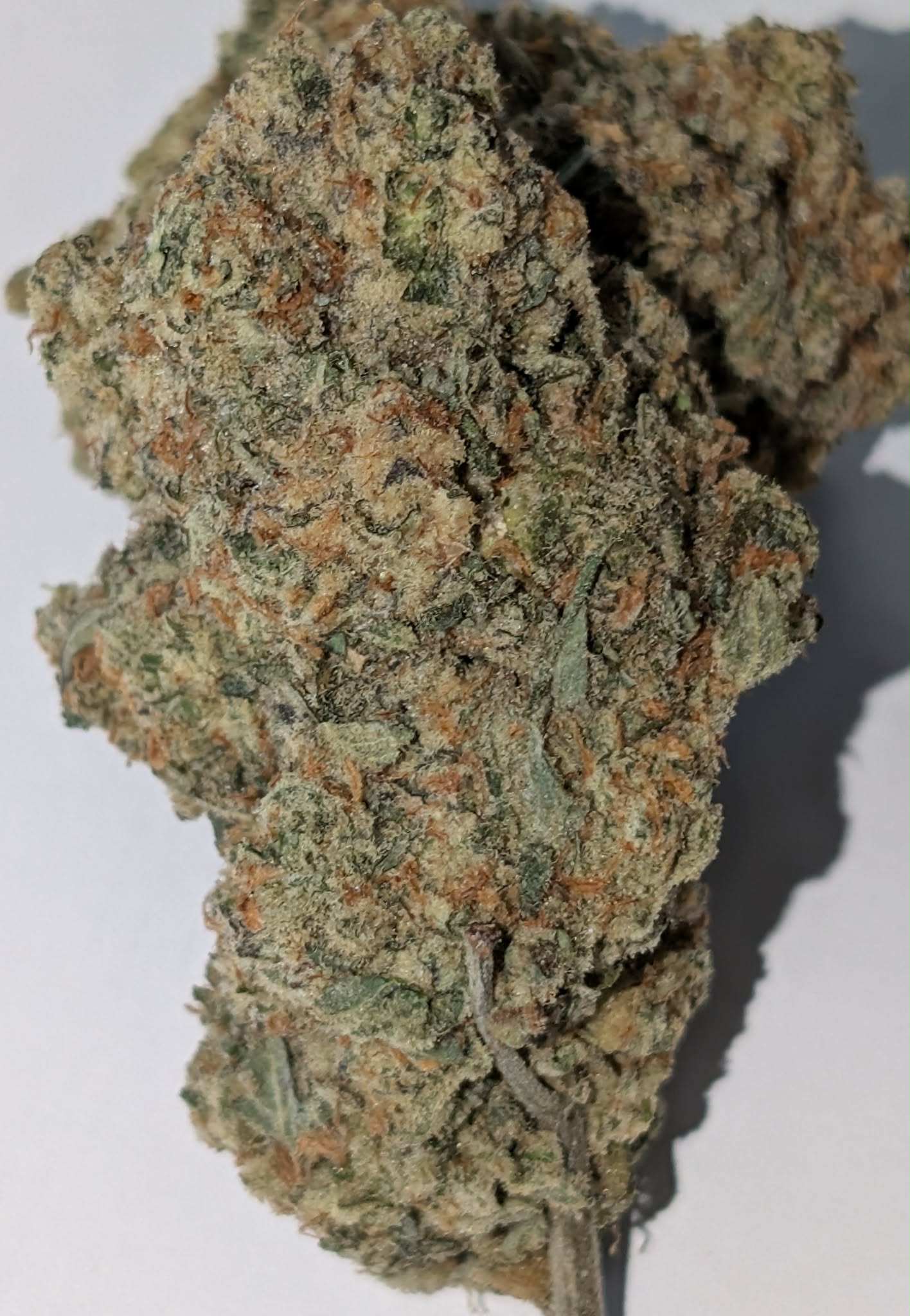 Private reserve cookies - hybrid             Rating: 40-70