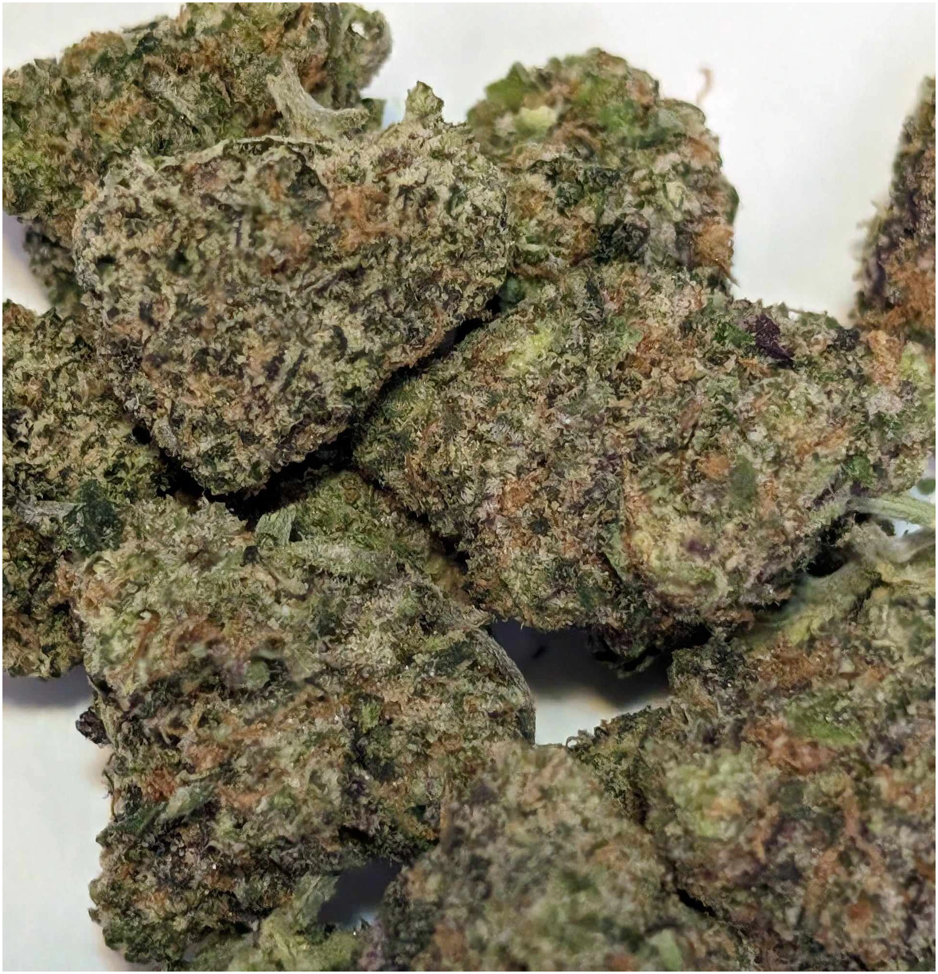 Mystery Pack Rating : 50-100