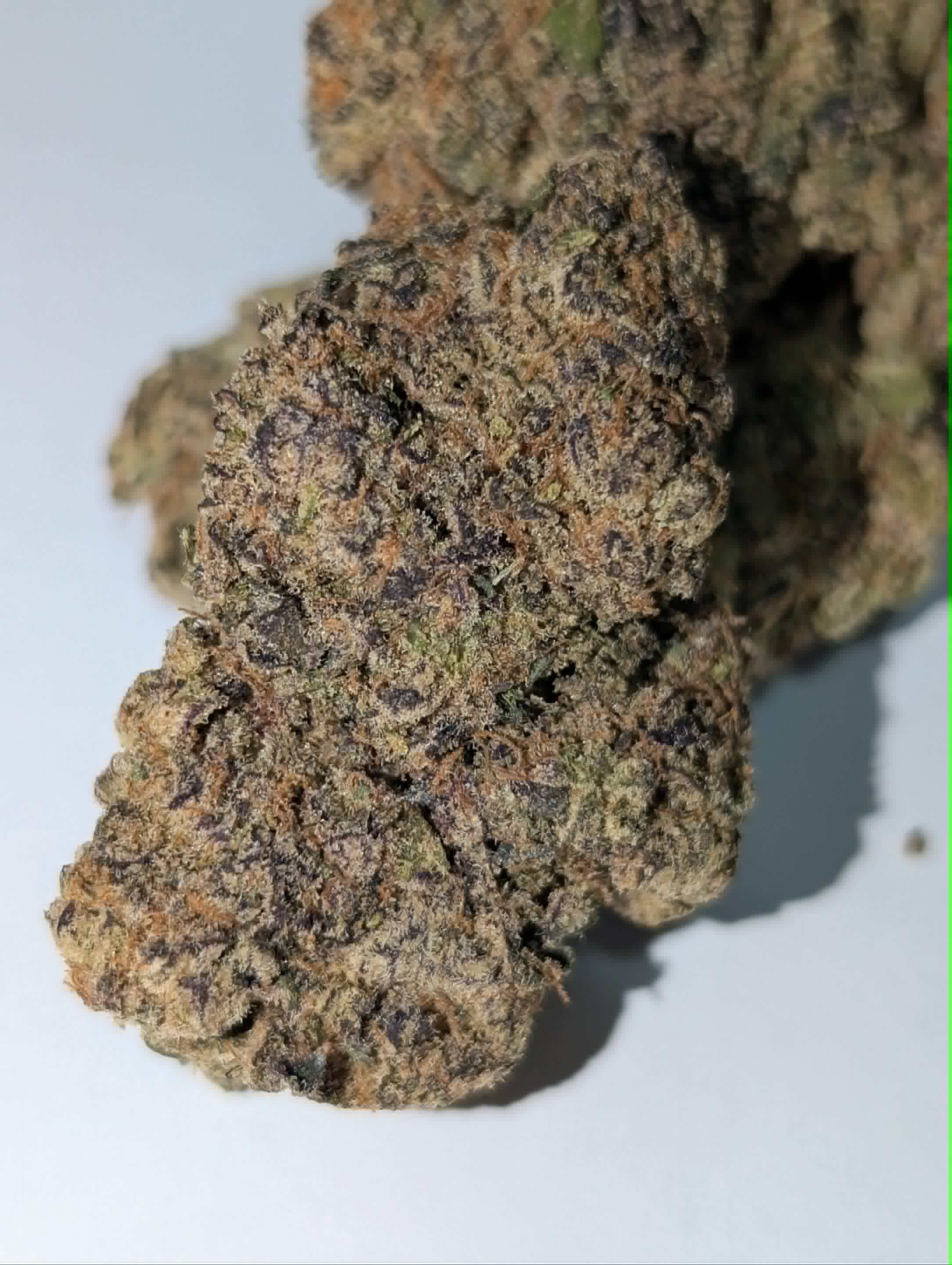 Silky Johnson - indica dom Rating: 50-100