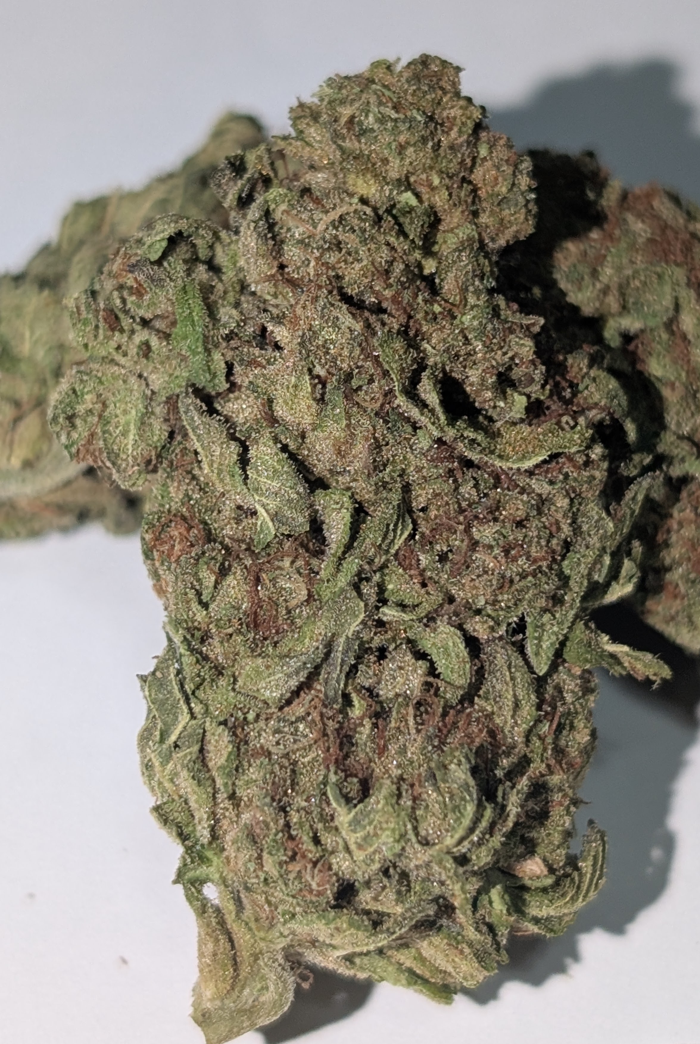 Member Berry - indica dom         Rating: 40-60