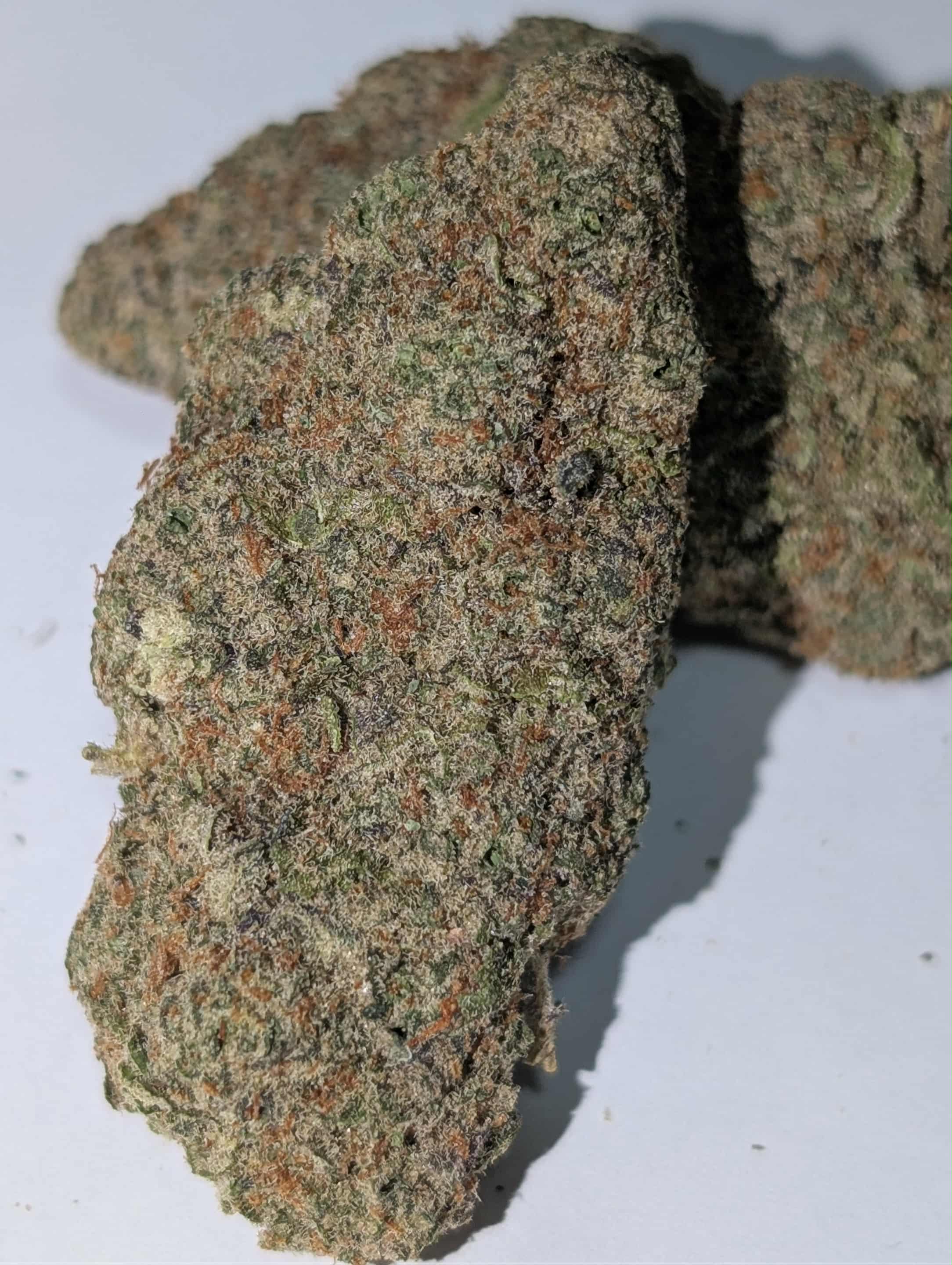 Golden Cobra - sativa dom Rating: 40-60-110