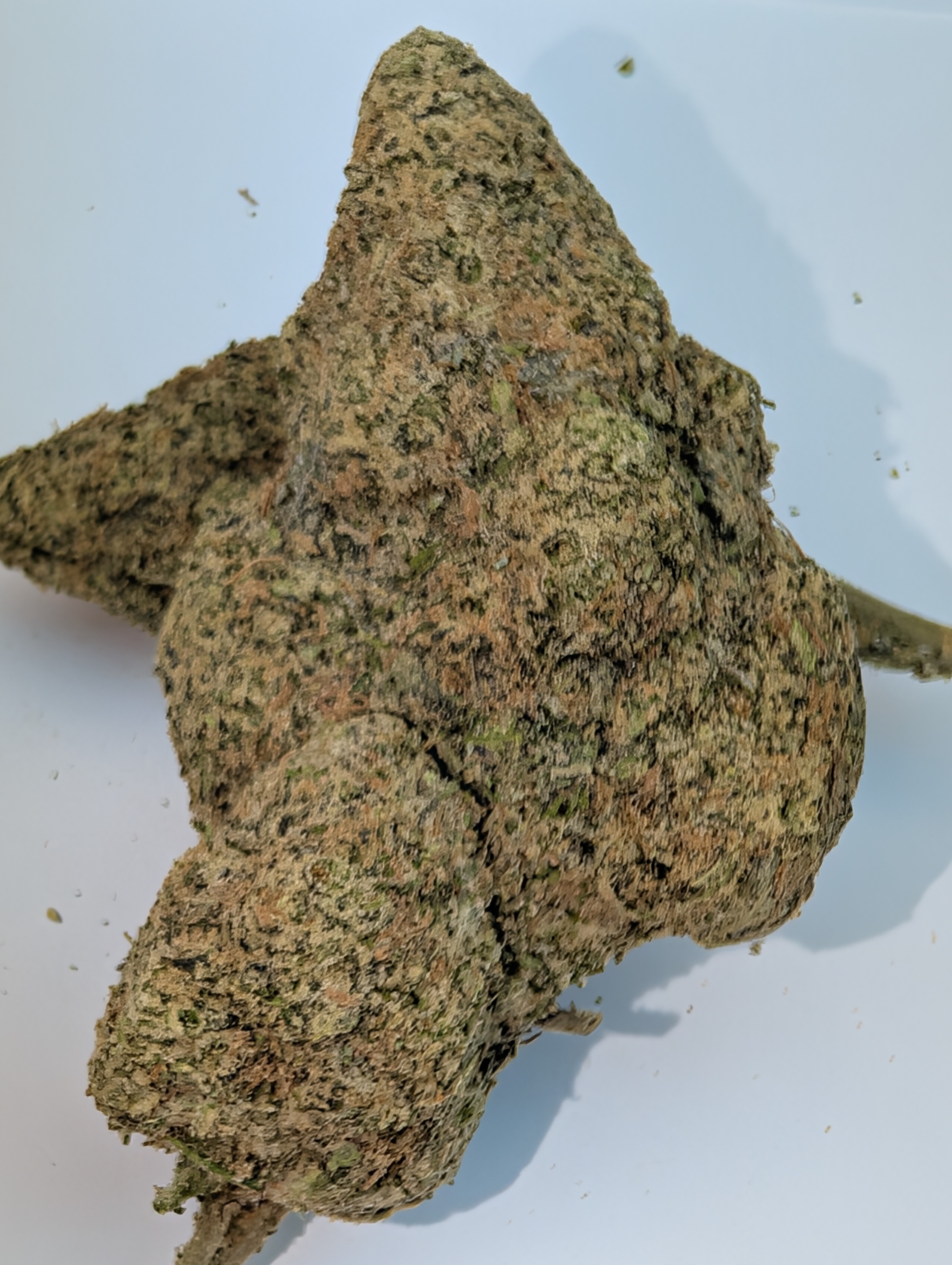 Hella Jelly - sativa dom            Rating: 50-70-130