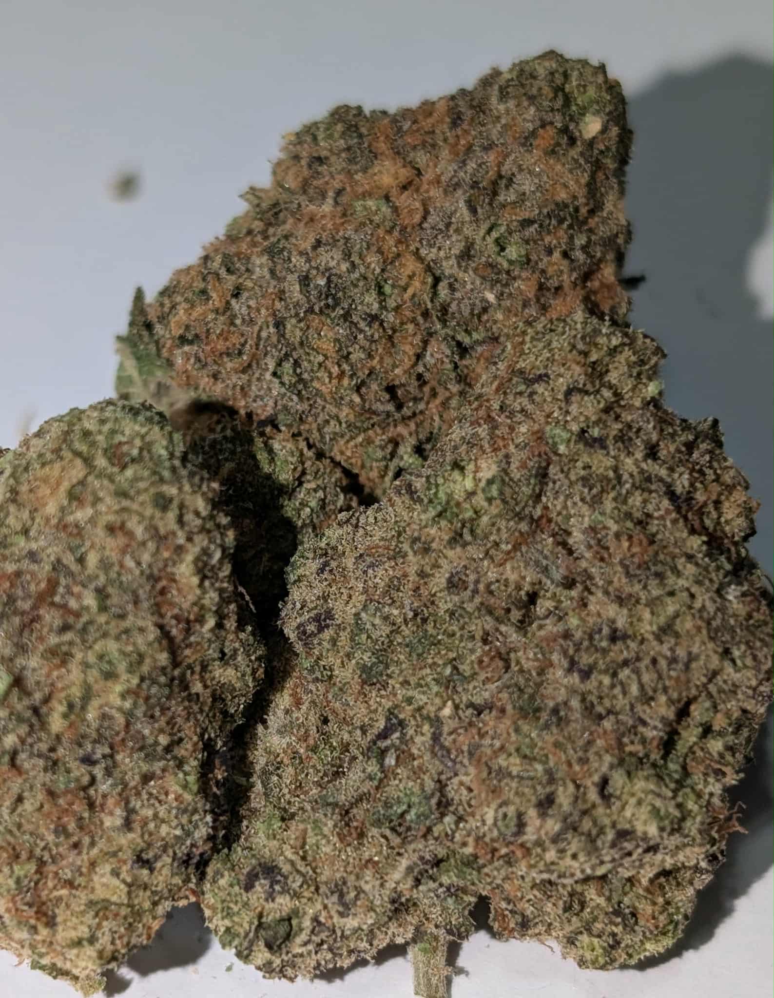 Dante's Inferno - indica dom Rating: 50-100