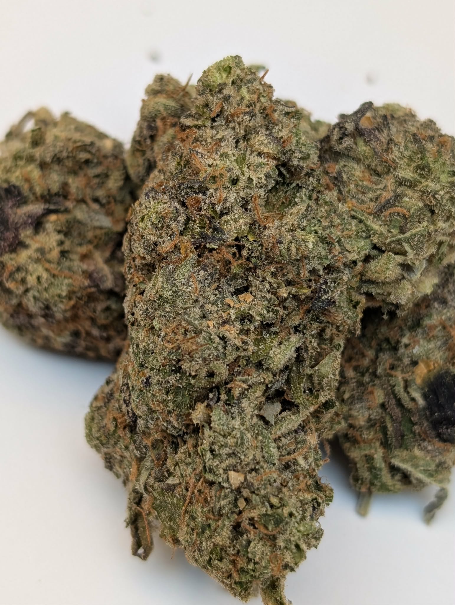 Mike Tyson OG - indica dom          Rating: 50-70-130