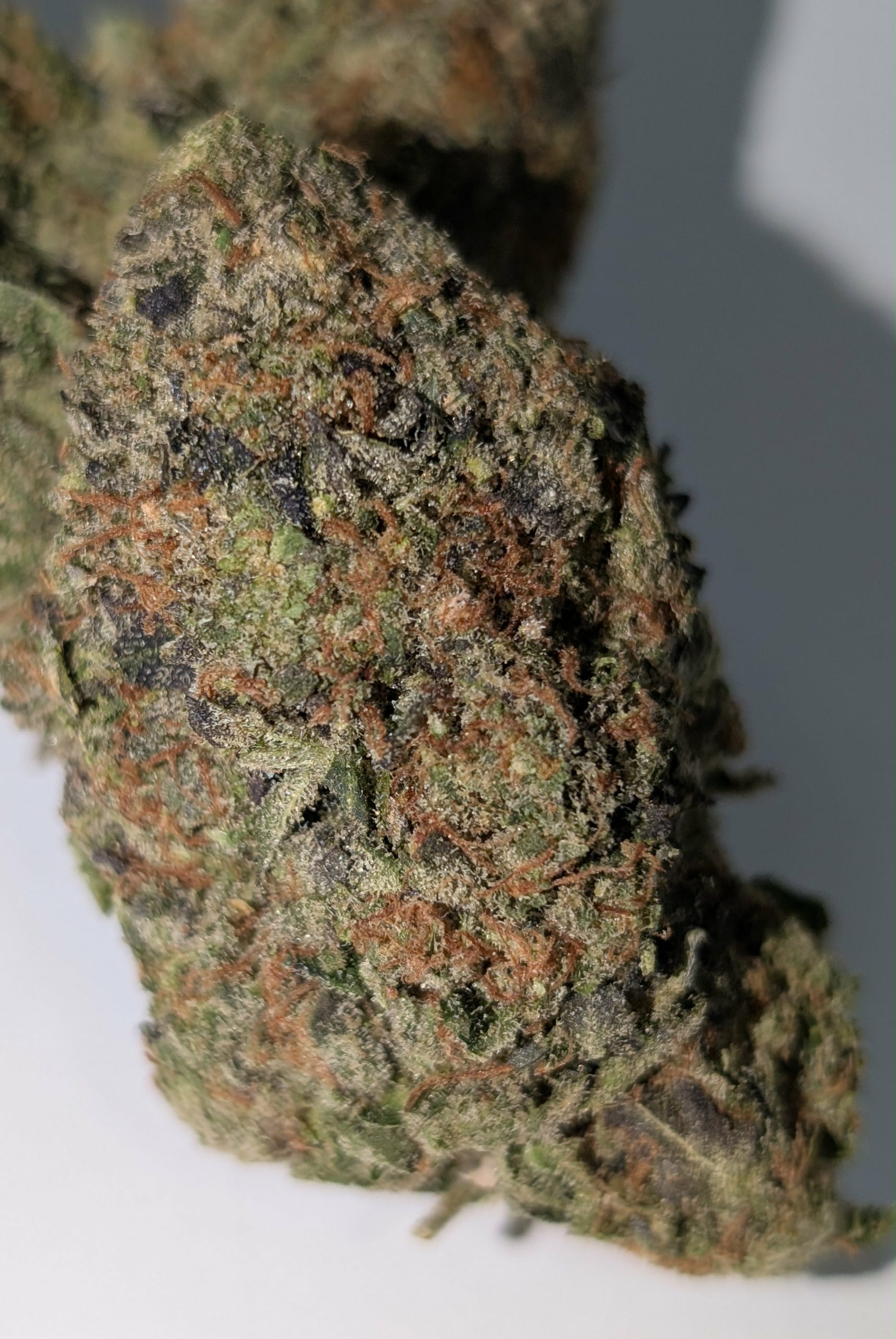 Ahi Tuna Kush - indica dom Rating: 50-70-130