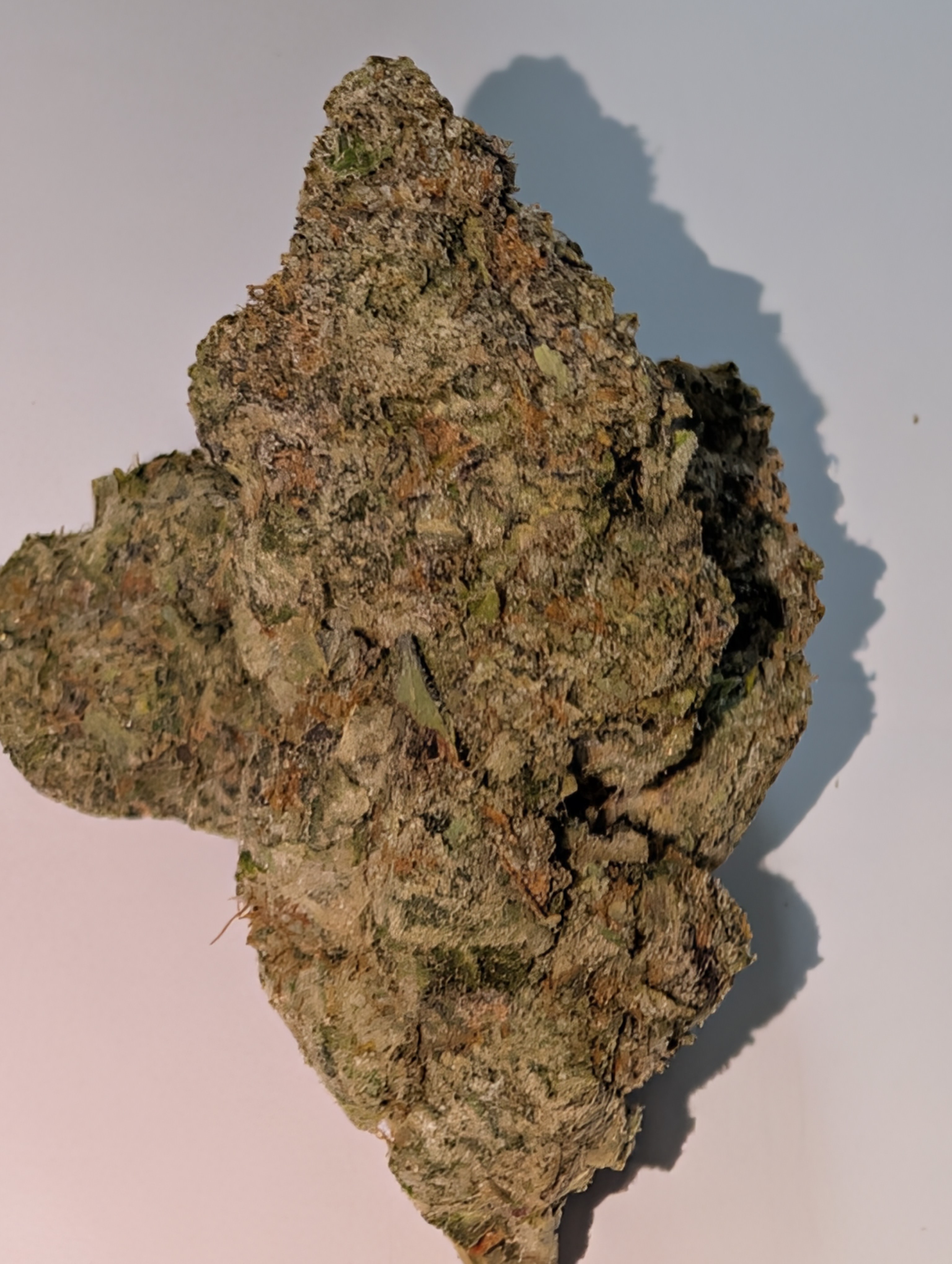 Berry Blast - indica dom      Rating: 50-95