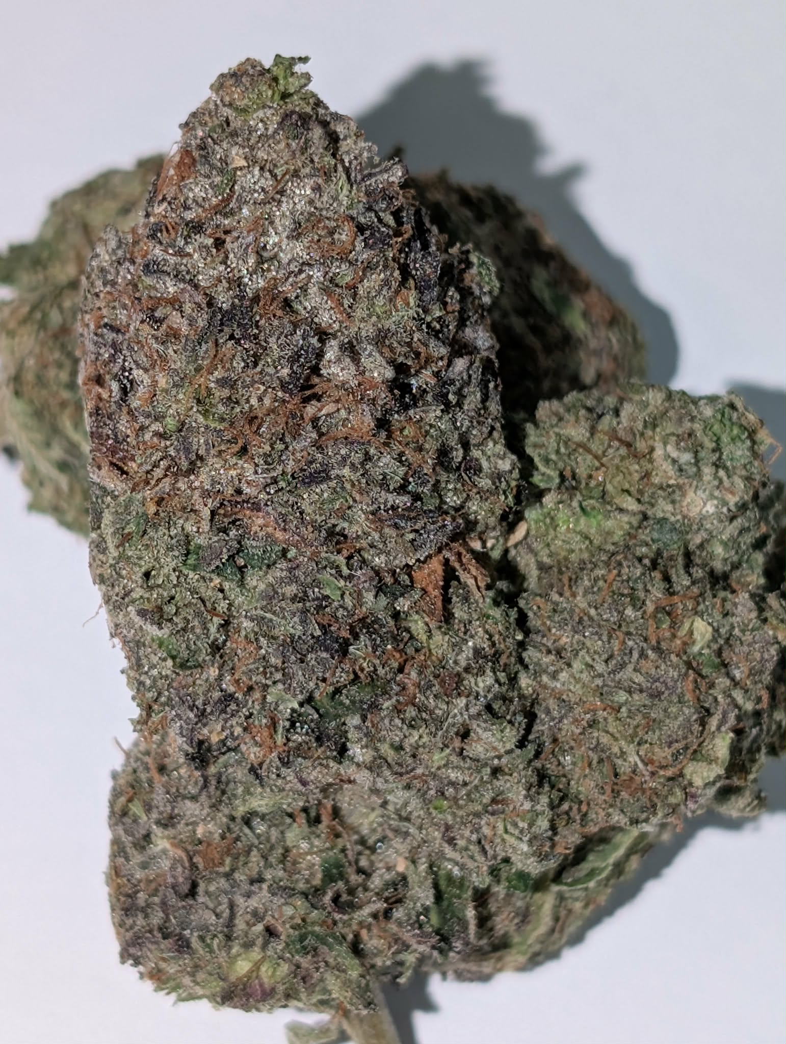 Caviar Pink -indica.       Rating : 40-65-120