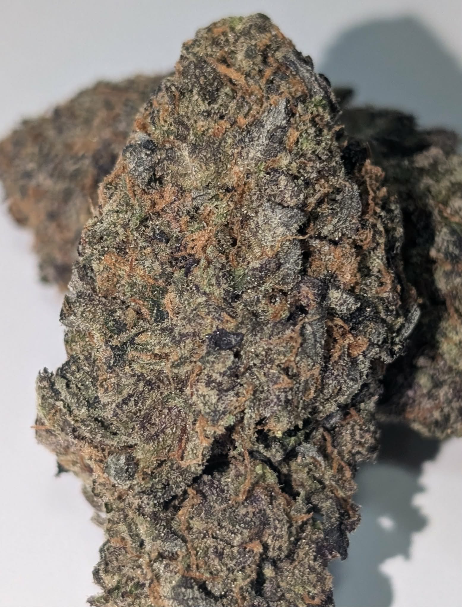 Pink Waygu - indica dom           Rating: 50-70-130