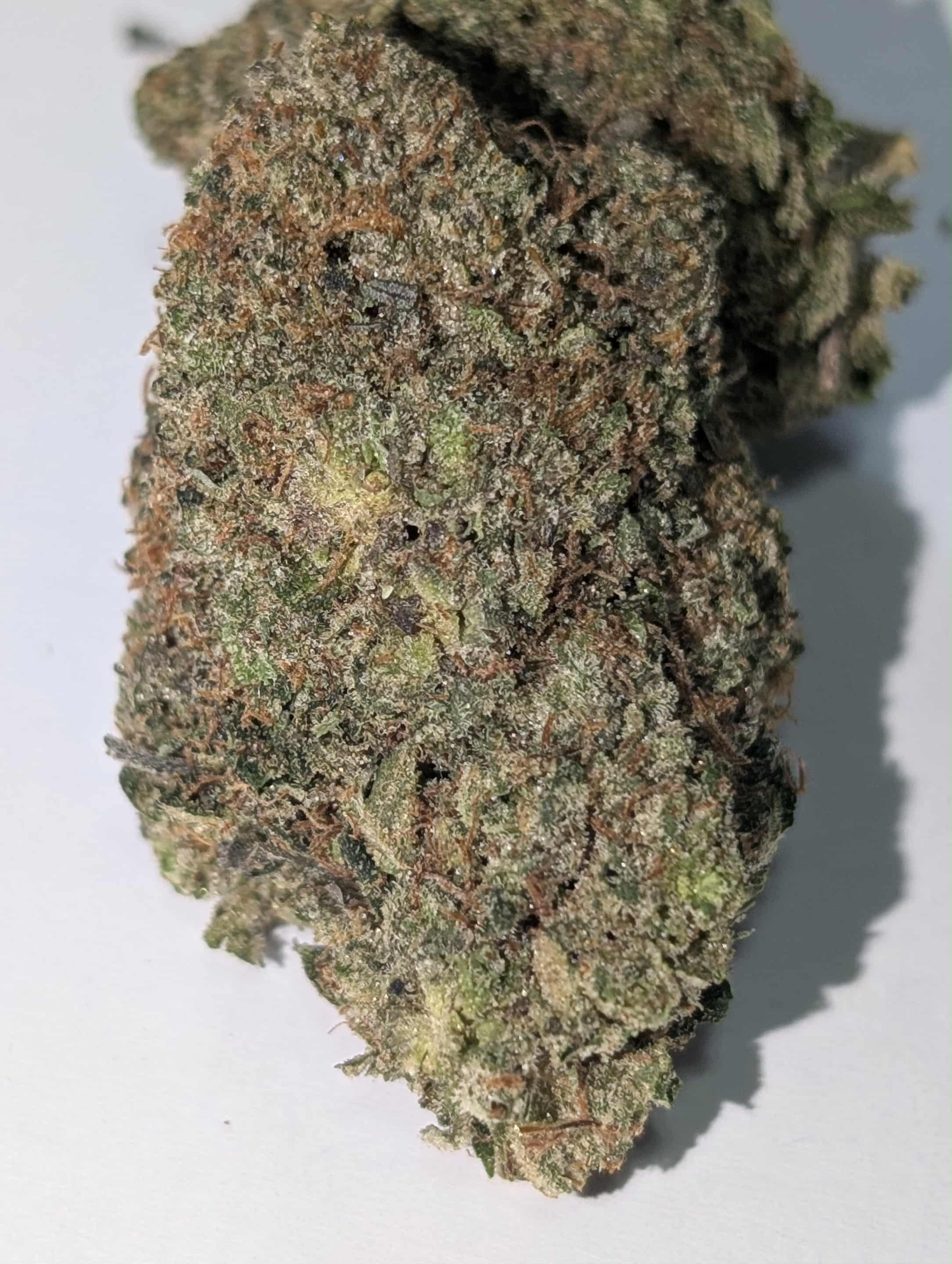 Platinum Pink - indica dom Rating: 50-70-130