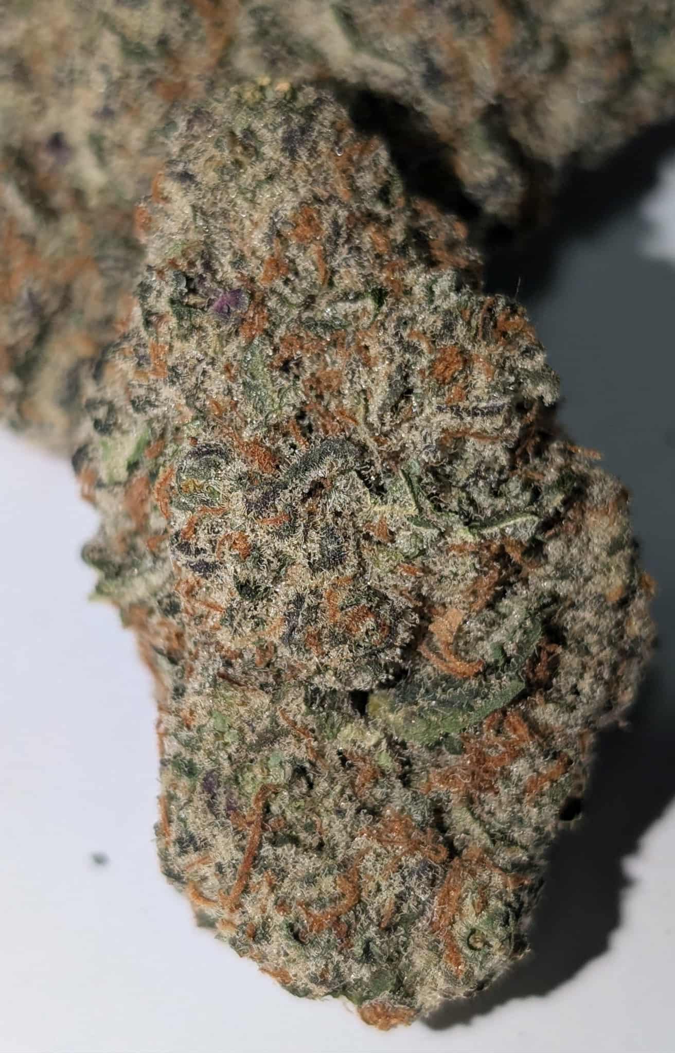 Black Triangle - indica Rating: 50-100