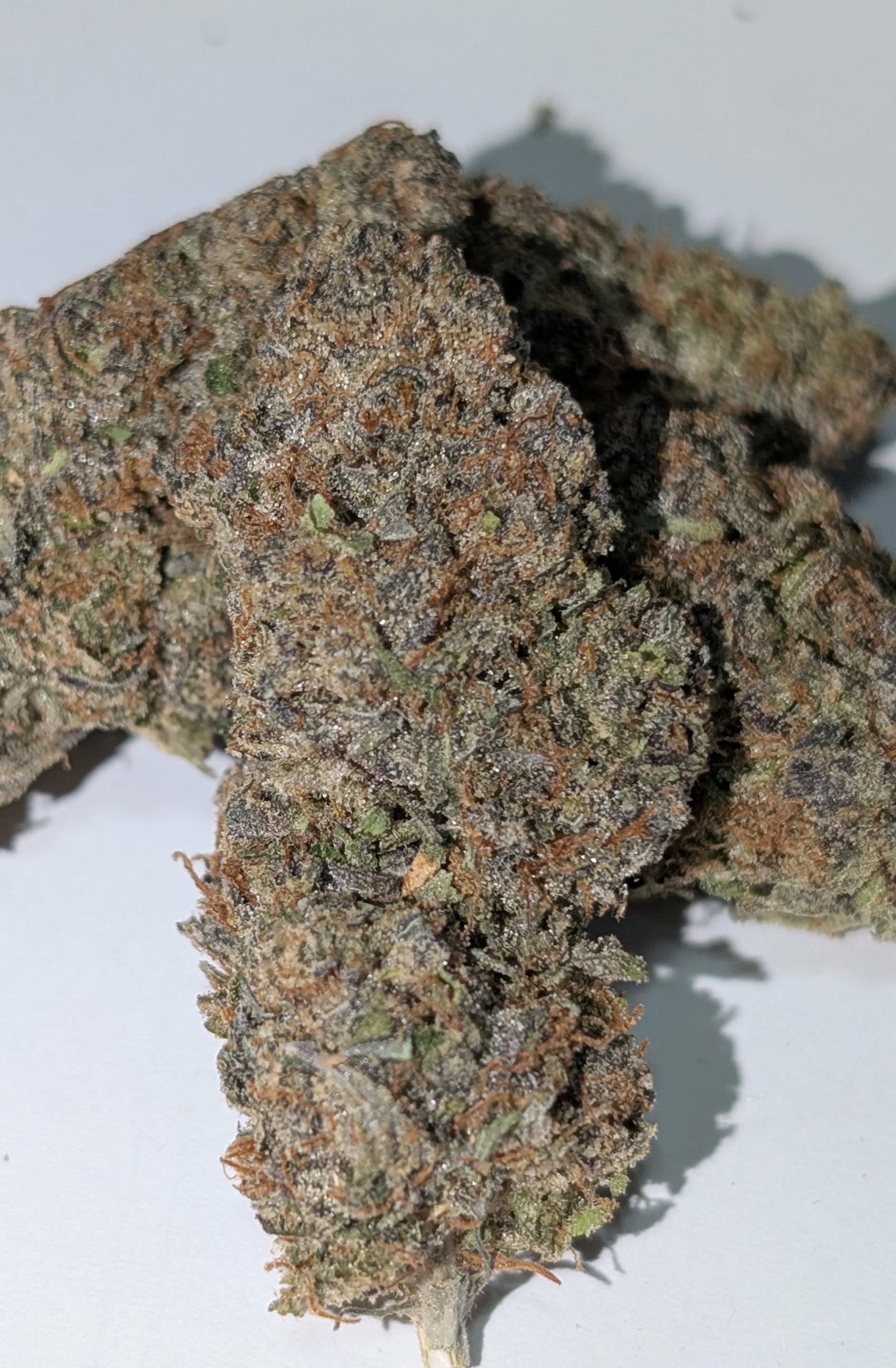 Watermelon Cookies - hybrid Rating: 50-100