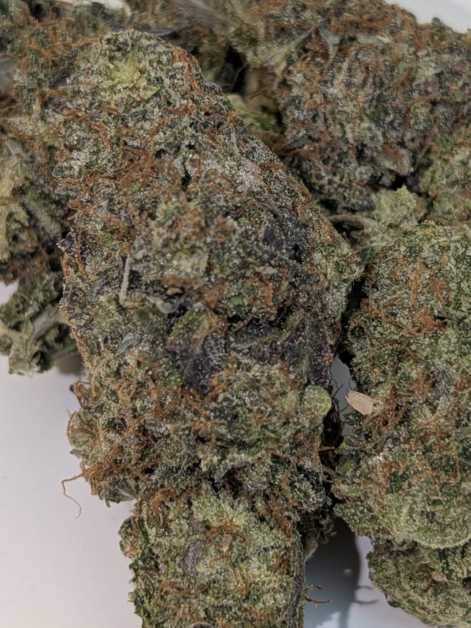 Pink Wagyu - indica dom Rating: 50-70-130