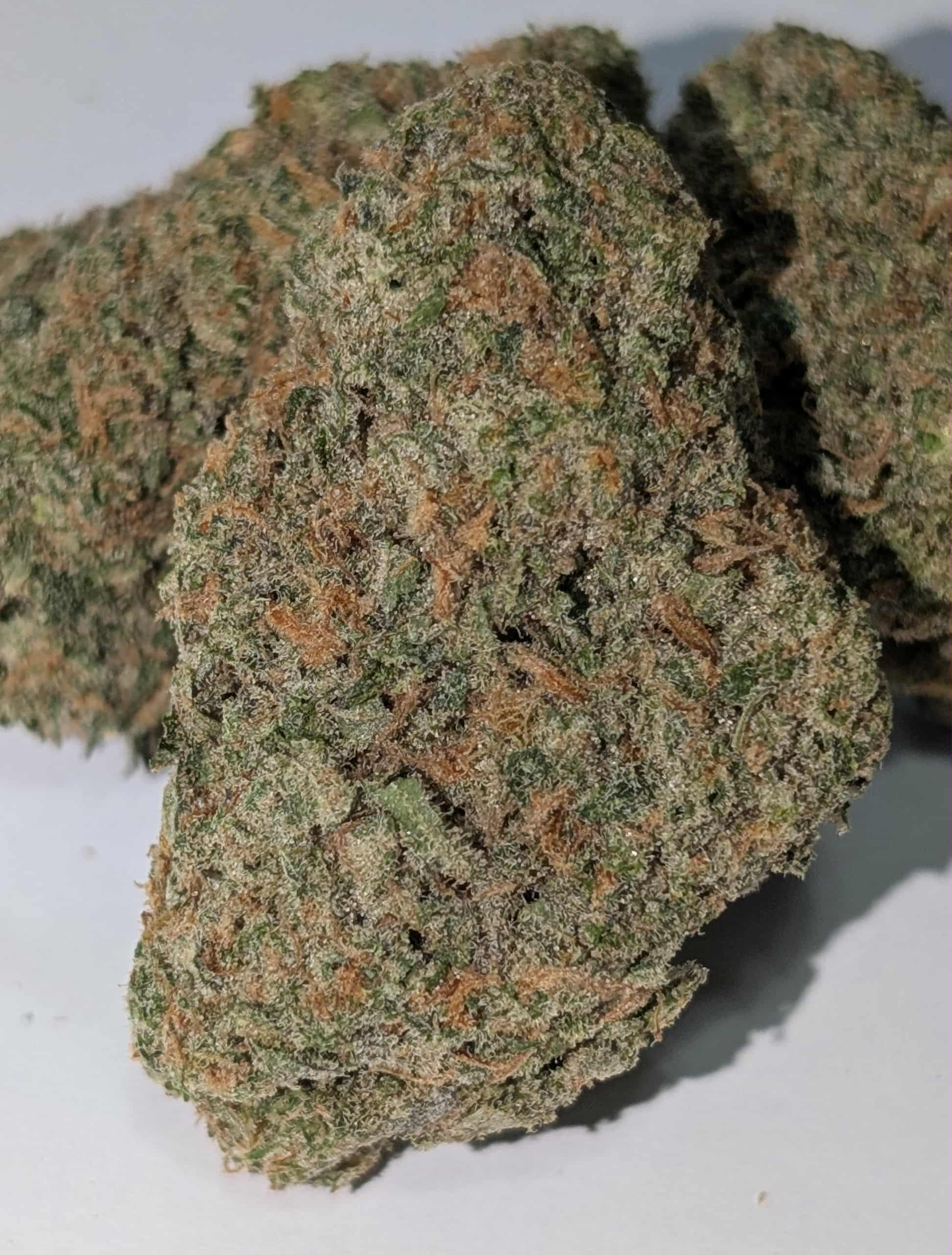 Mandarin Cookies - sativa dom Rating: 50-100