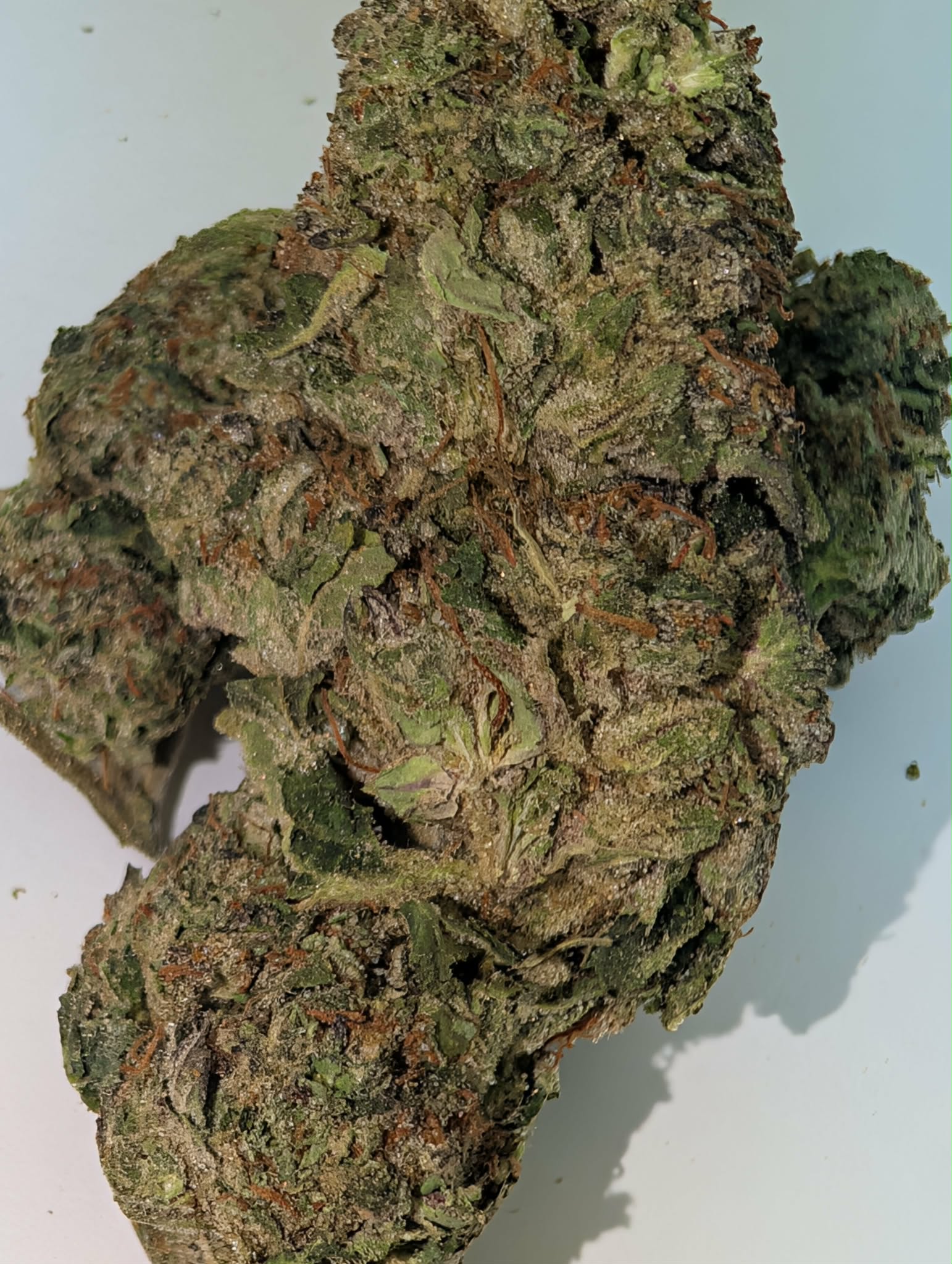 Phantom OG - Hybrid        Rating: 50-80