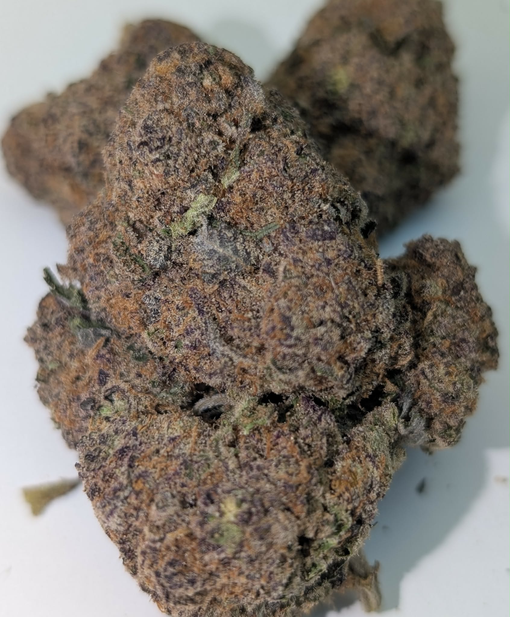 Purple Sweet Tooth - indica dom          Rating: 40-60-110