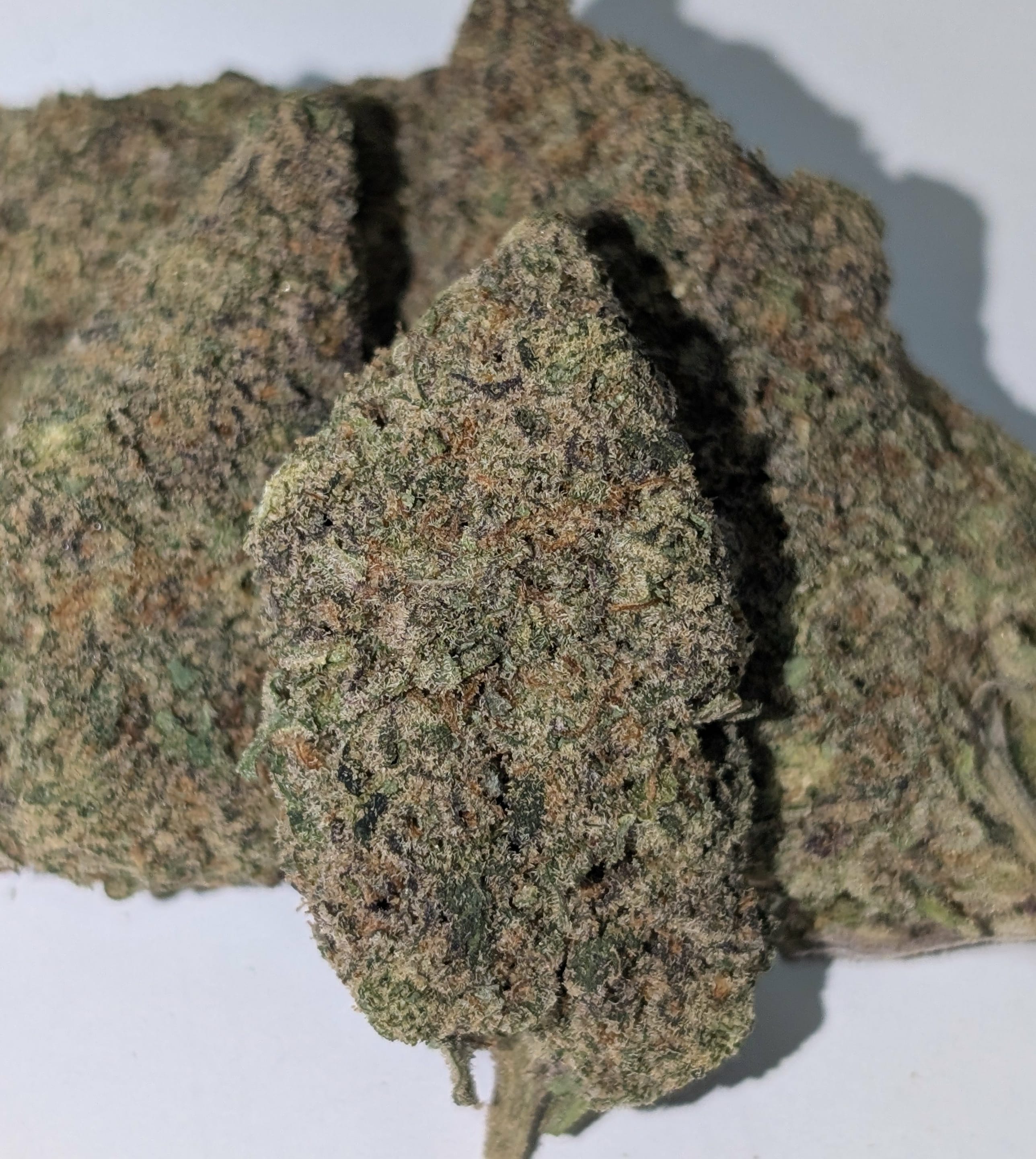 Platinum Garlic Breath - hybrid Rating: 40-60-110
