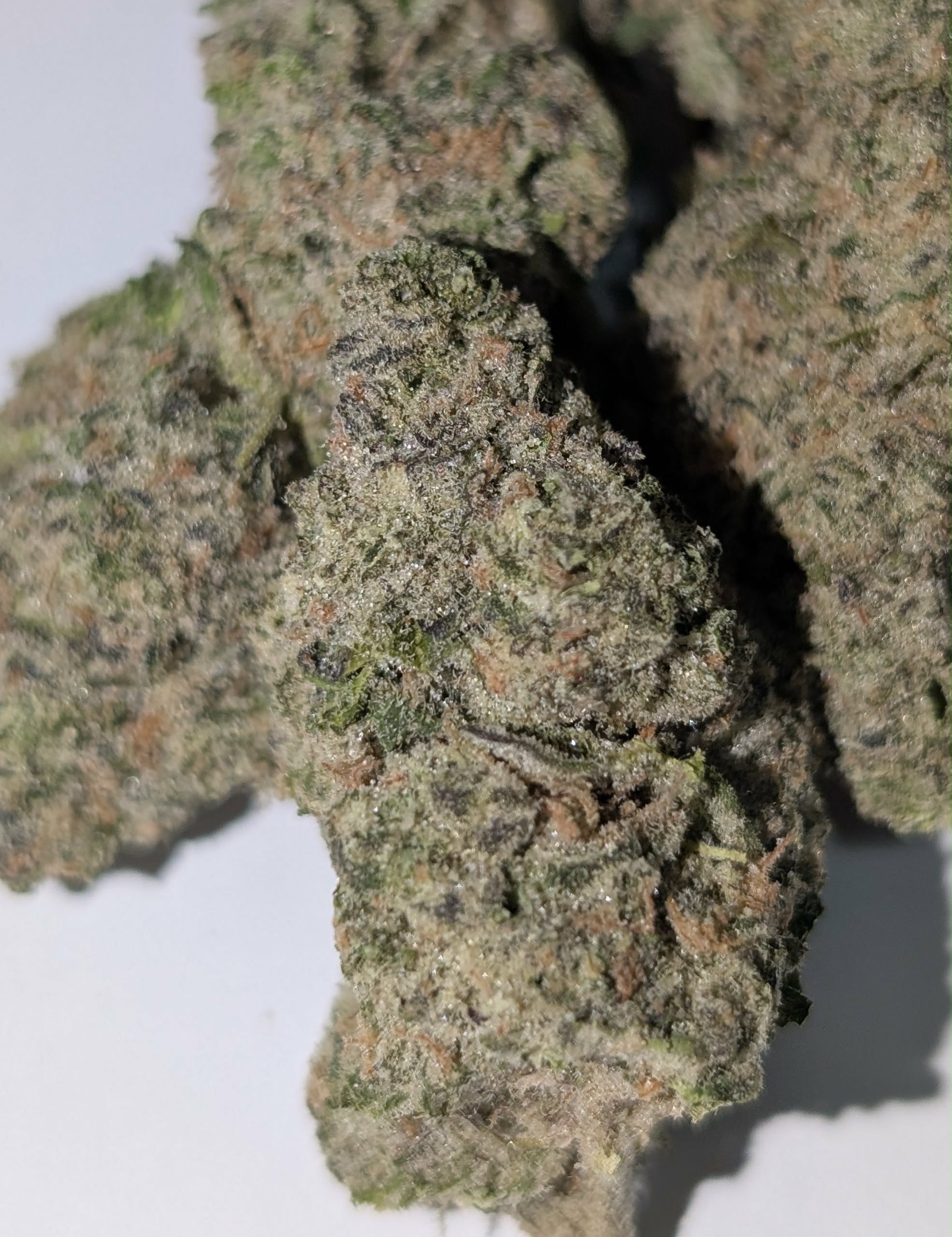 Shishkaberry - indica dom Rating: 50-100
