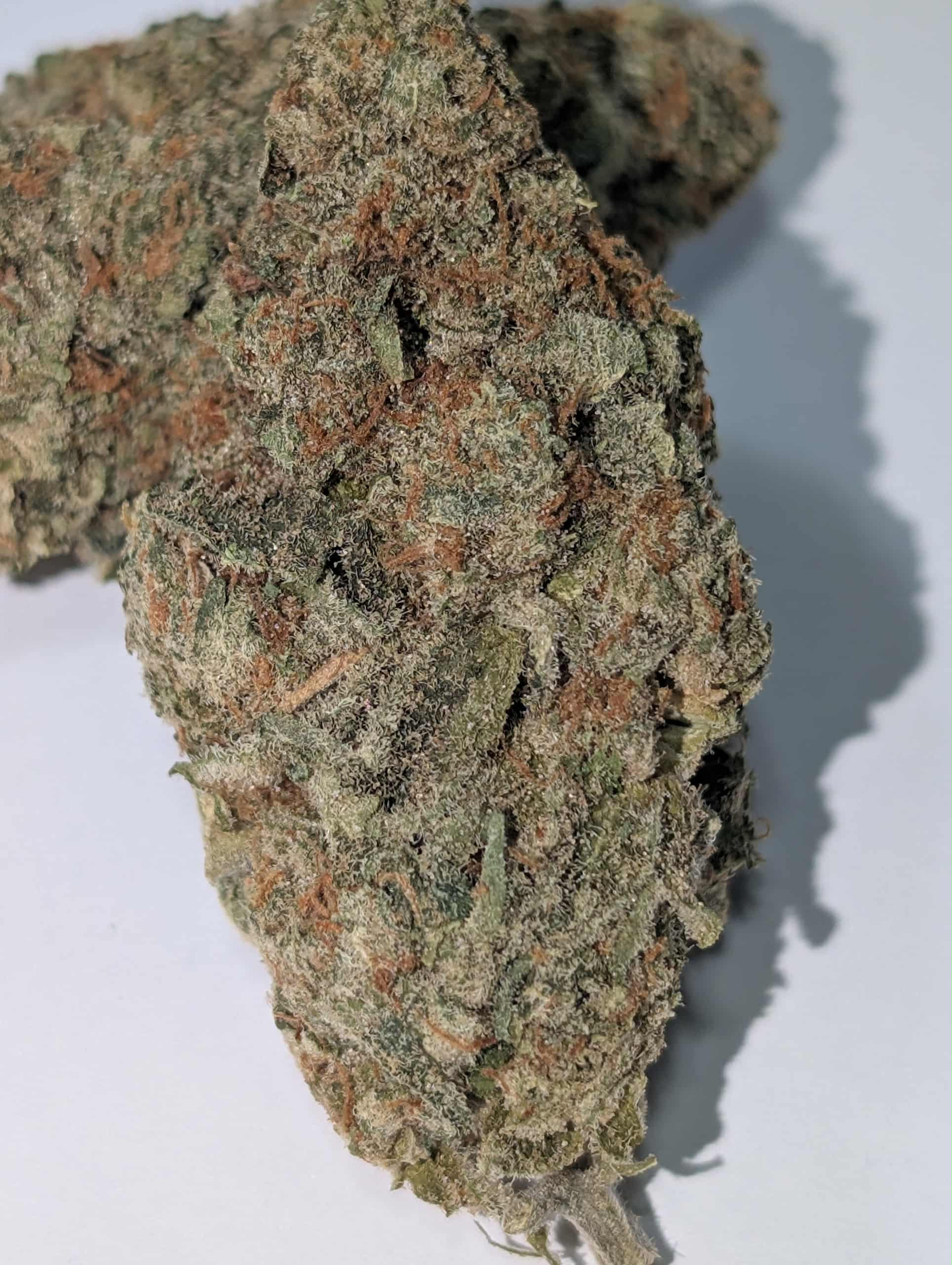 Donkey Butter - indica dom Rating: 50-100