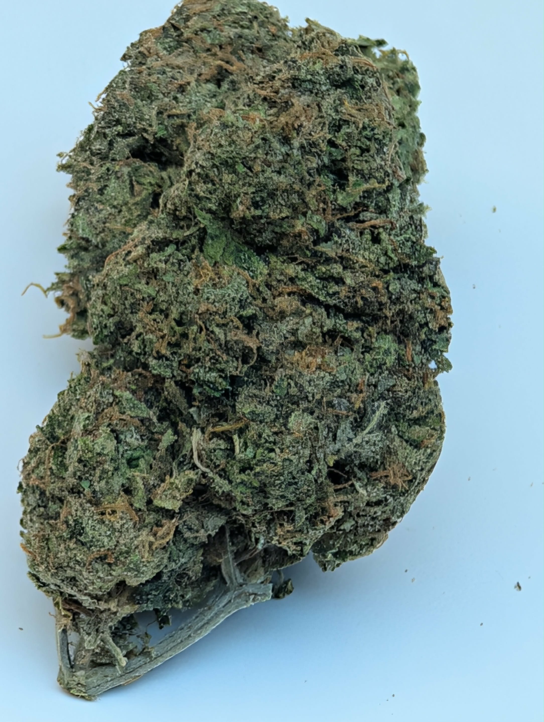 Ice Cream Cake - indica dom        Rating: 50-100