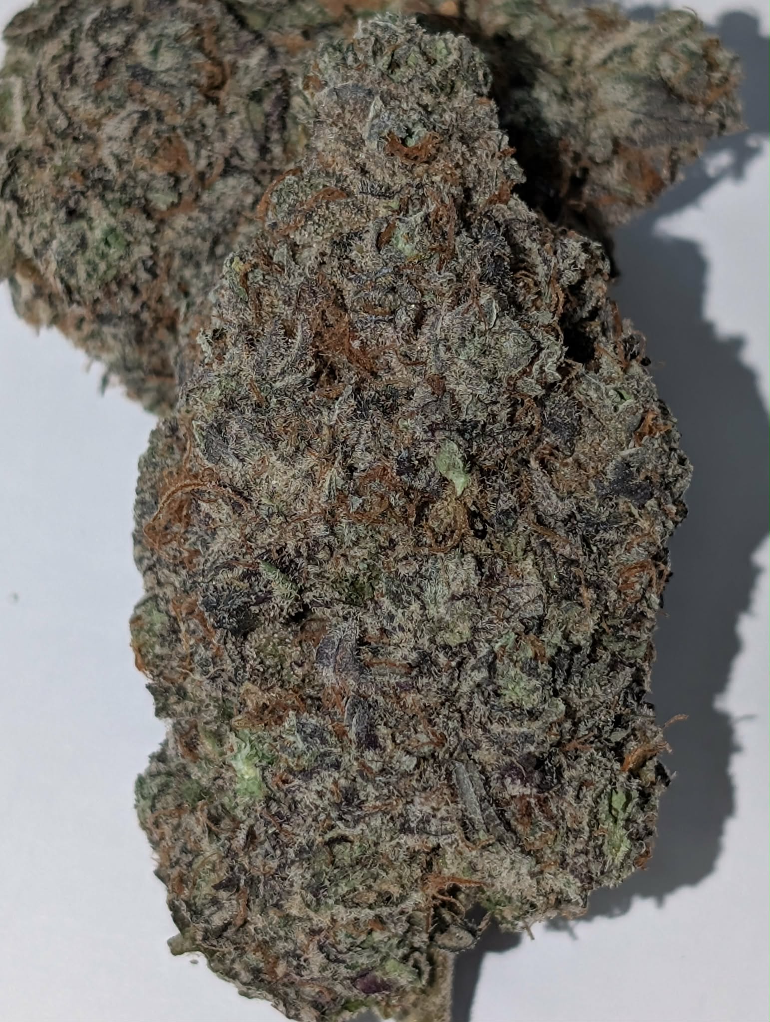 Pink Cali  - Indica dom.       Rating: 40-65-120