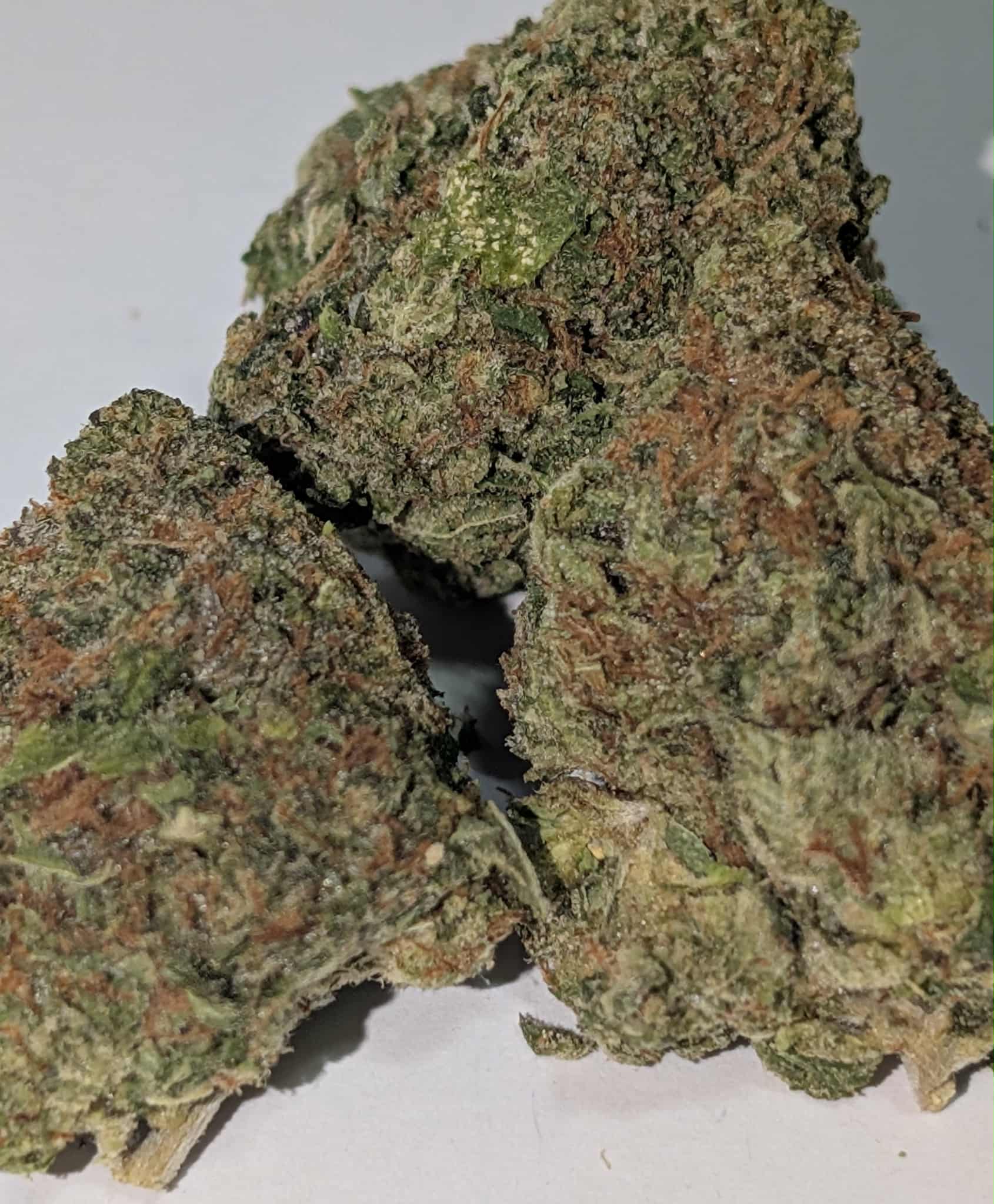 El Chapo - indica dom Rating: 50-70-130