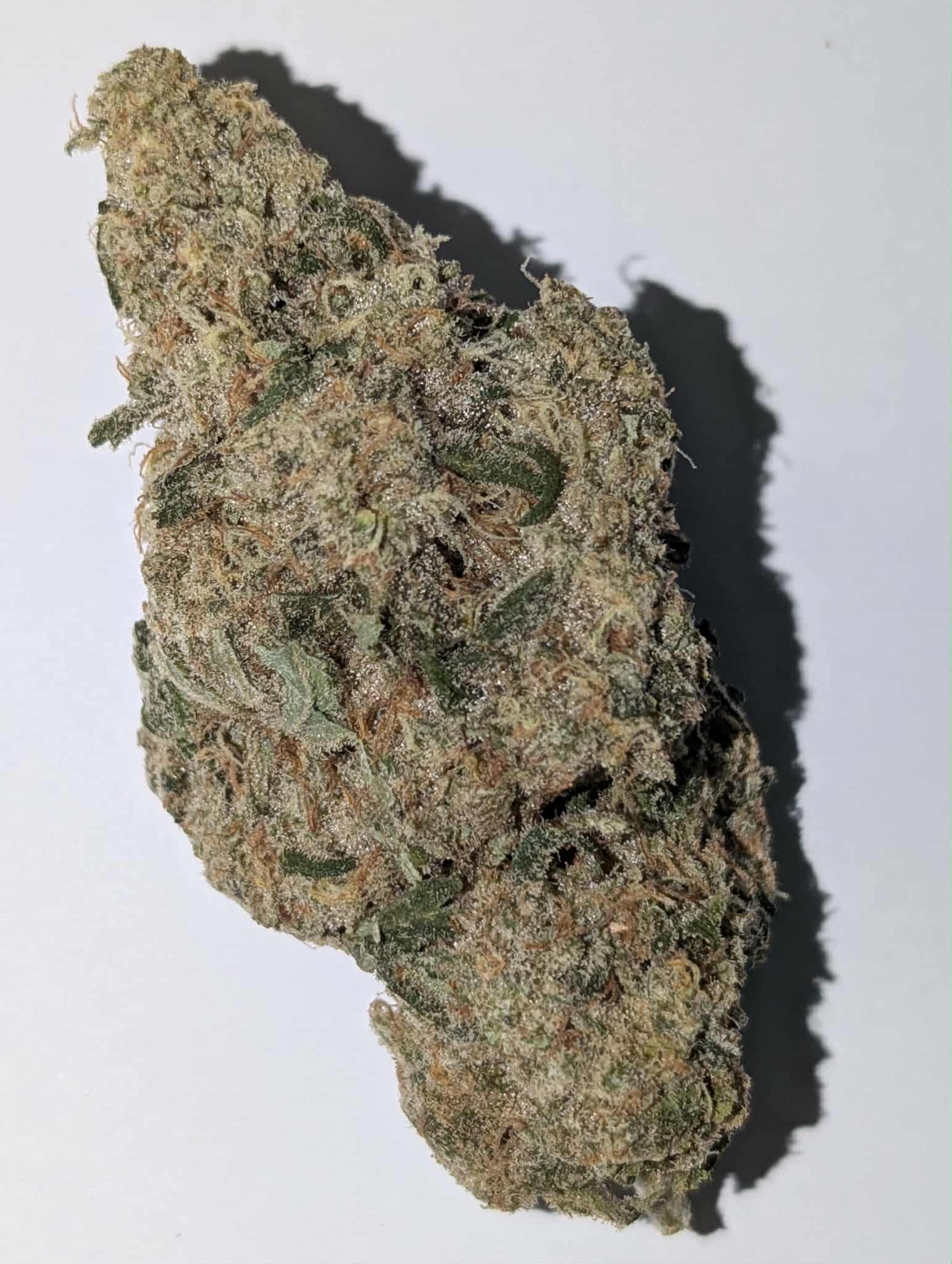 Banana Breath - hybrid Rating: 40-60-110