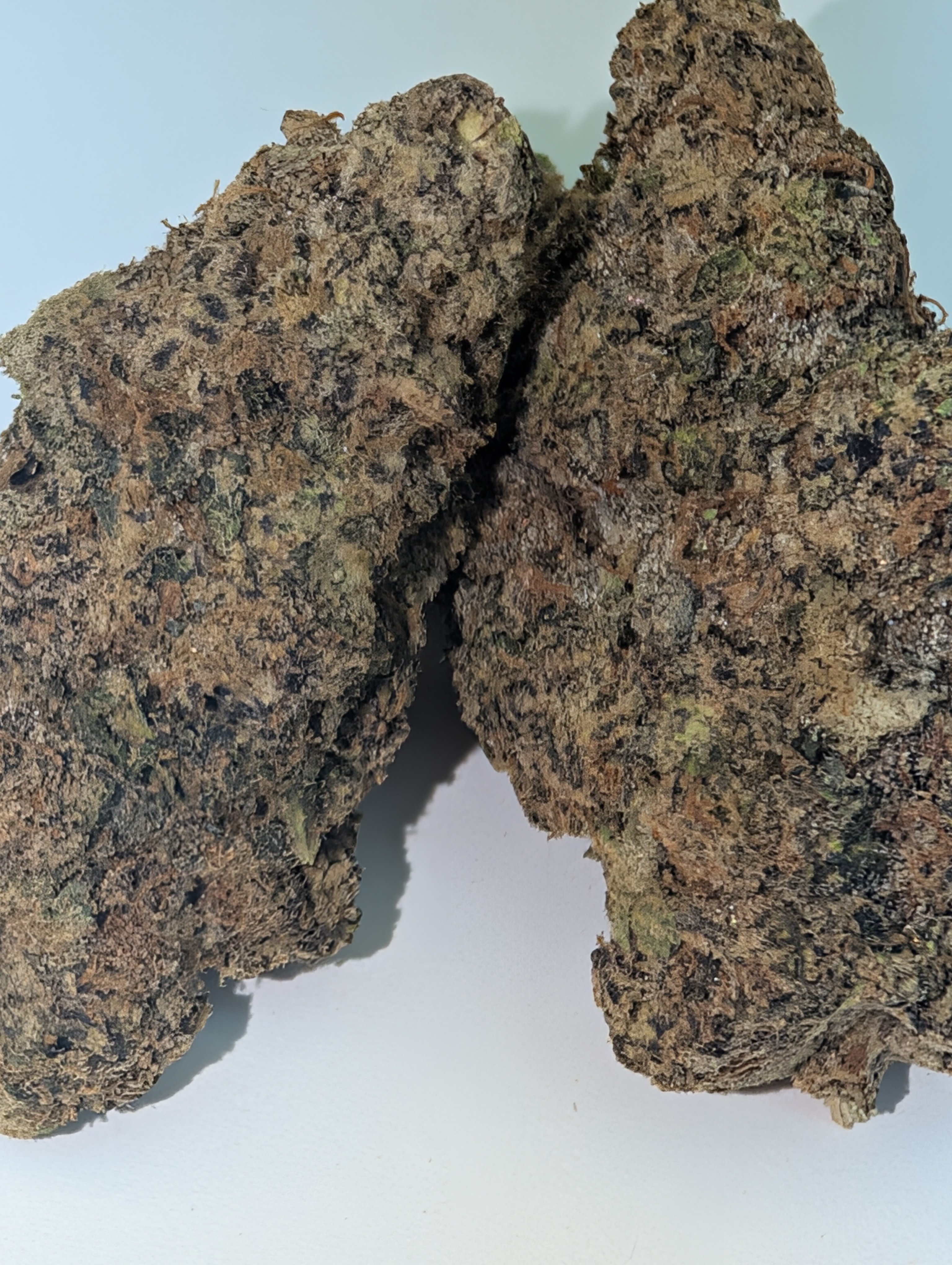Gas House OG - indica dom       Rating: 40-60-110