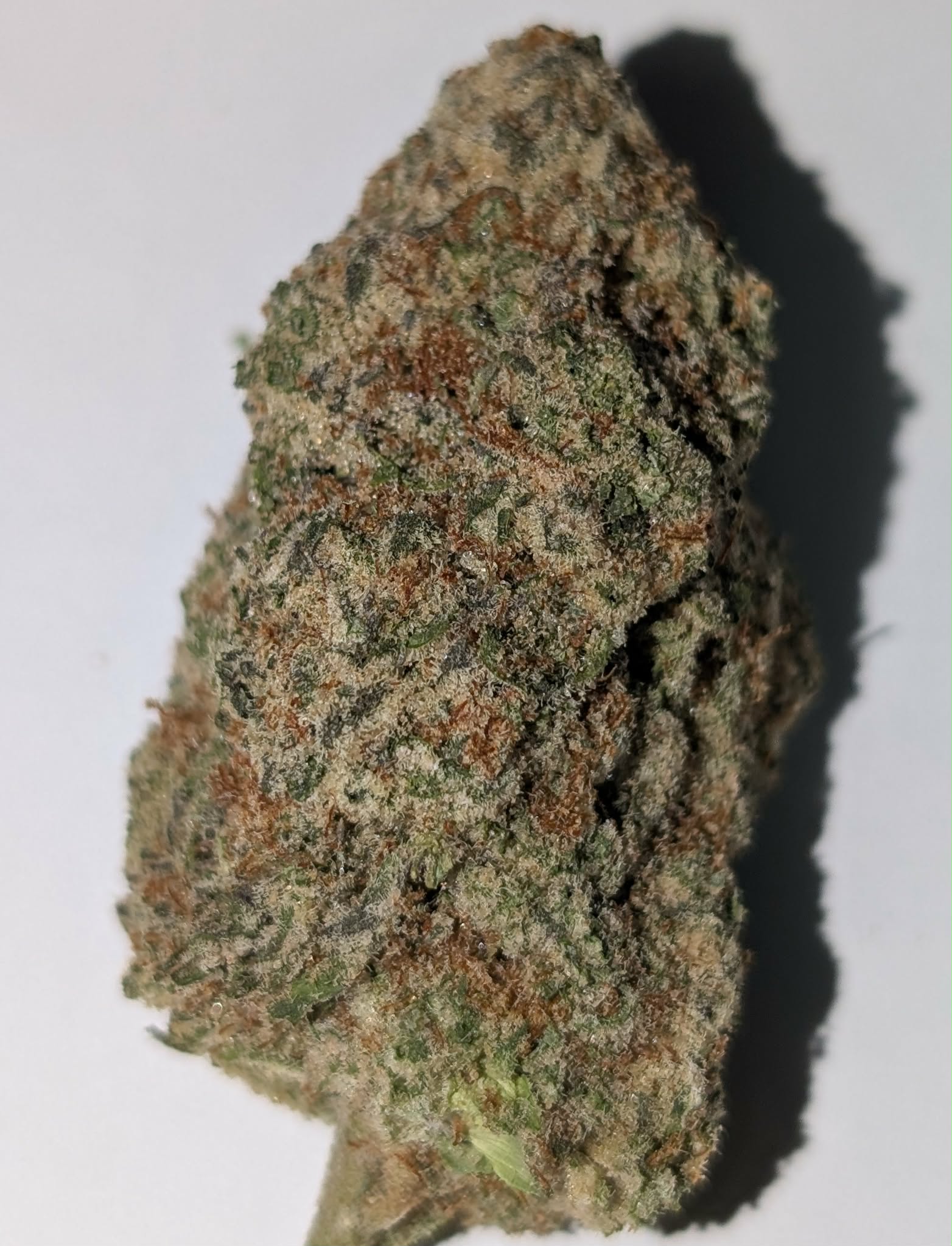 Future Wife - hybrid Rating: 40-60-110