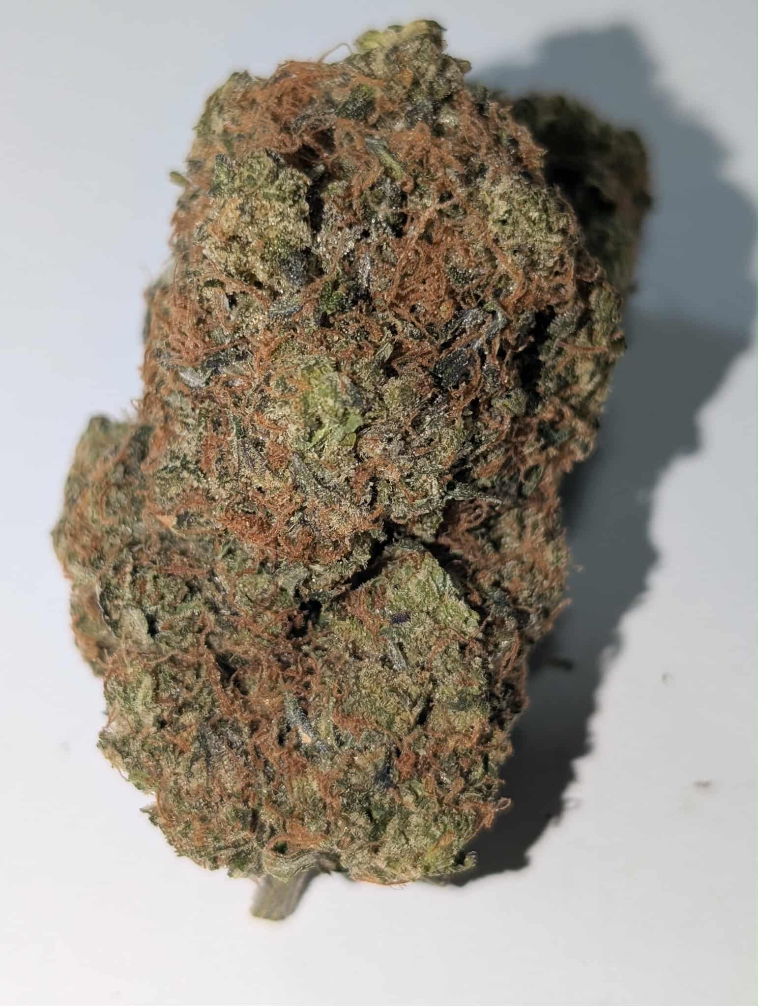 Pink Zushi - hybrid Rating: 50-100