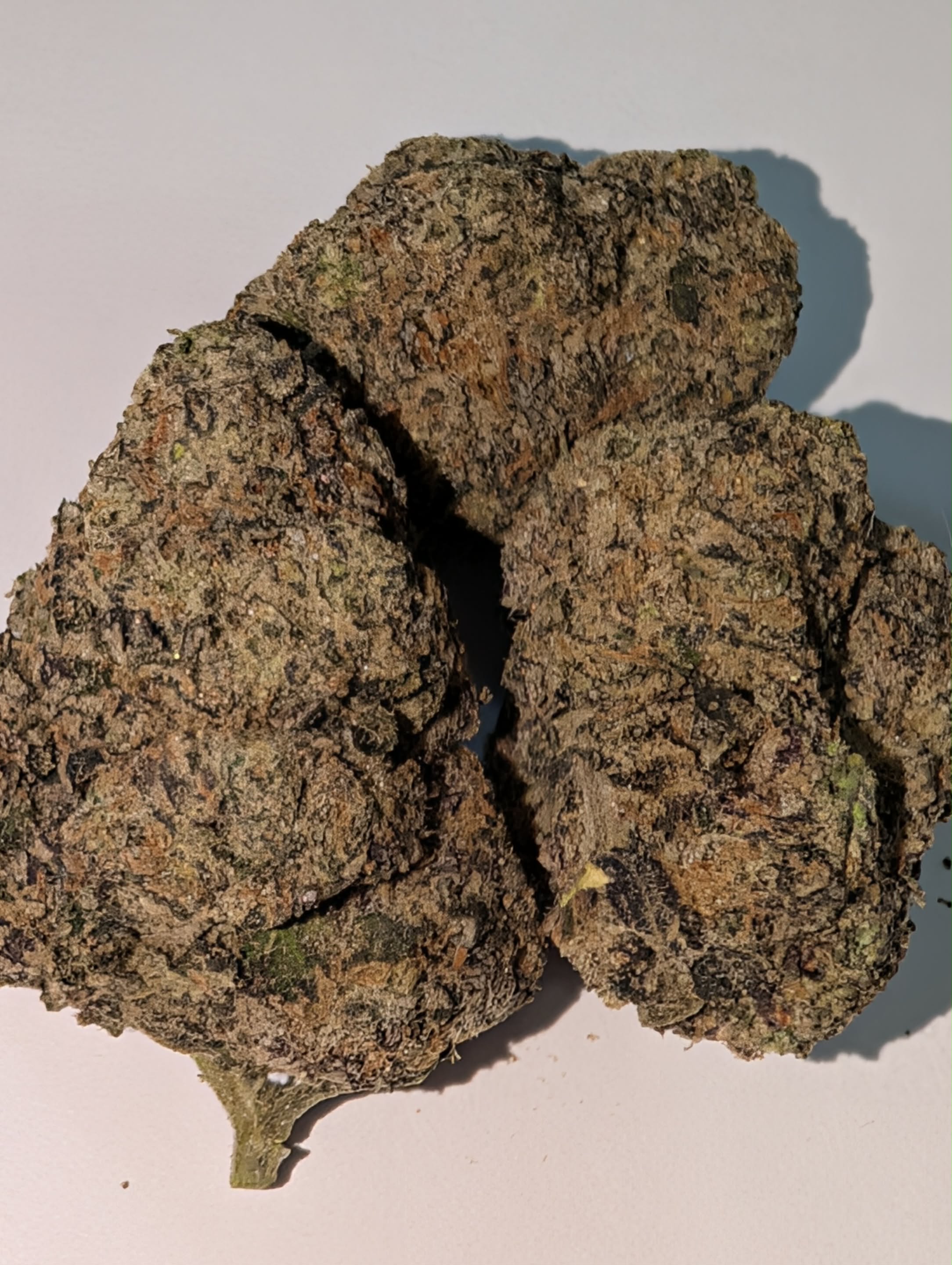 Pine Tar - indica dom        Rating: 40-60-110