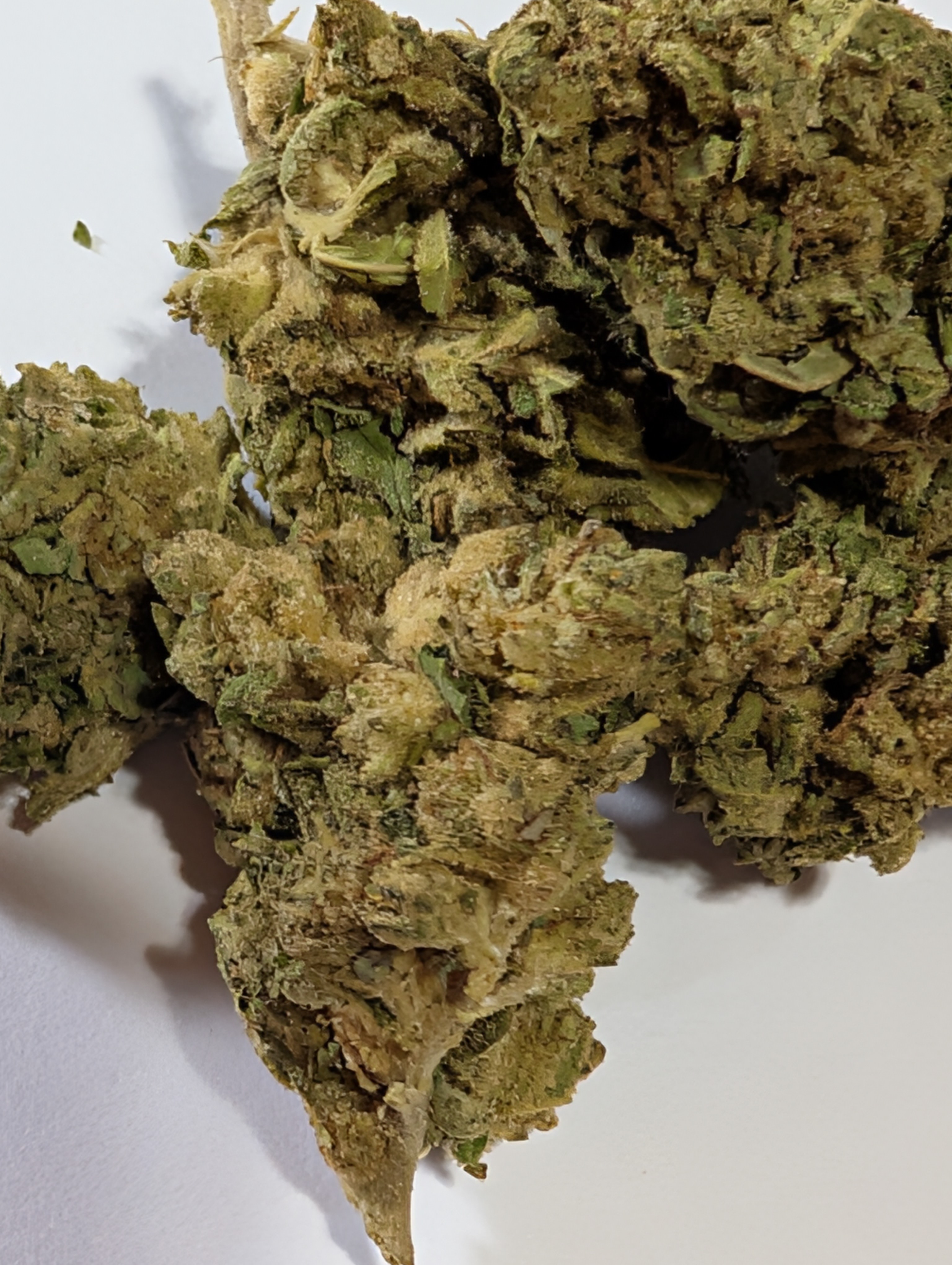 Motorbreath- indica dom           Rating: 50 - 80
