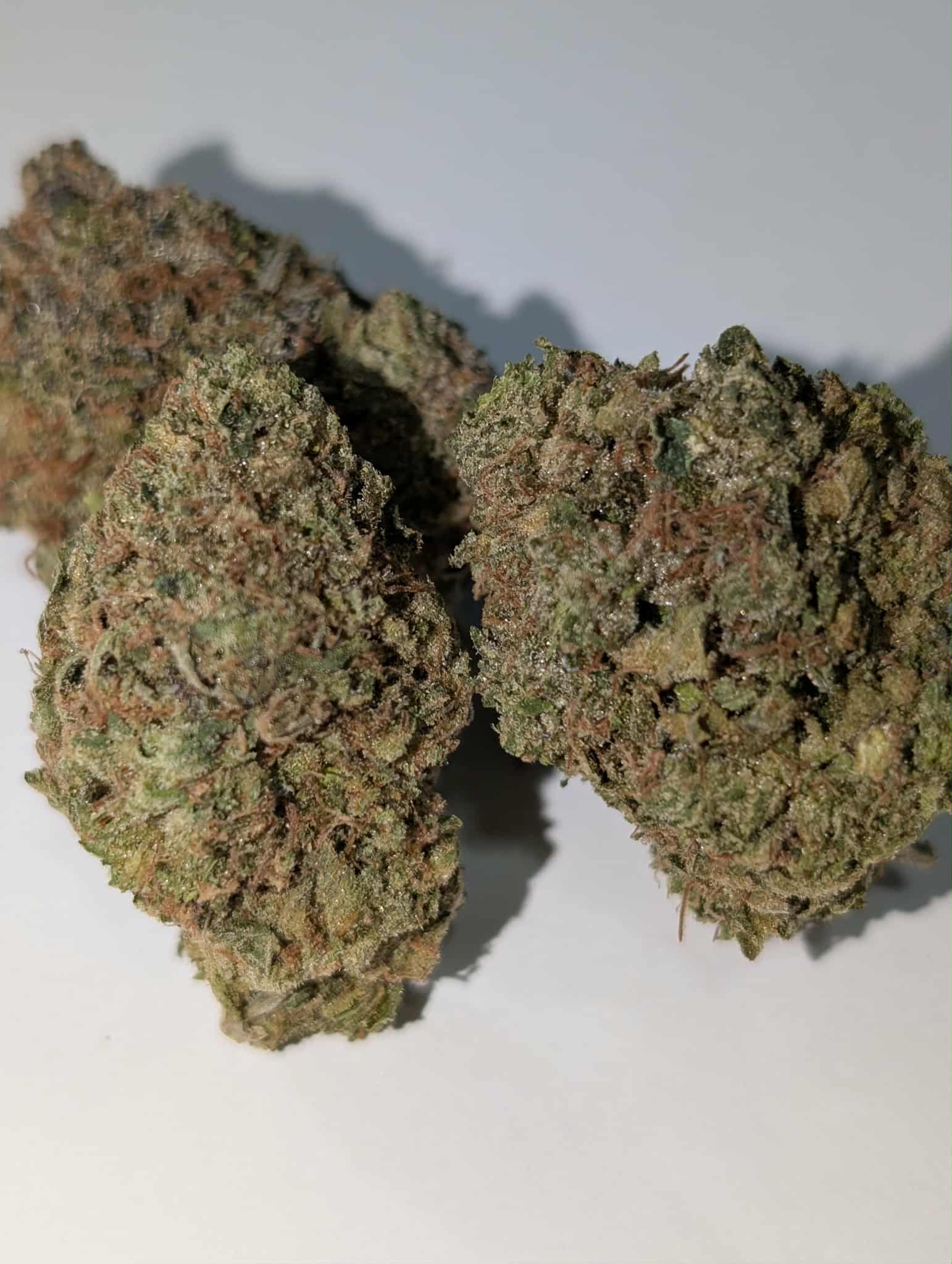 Grand Daddy Death - indica dom Rating: 40-60-110