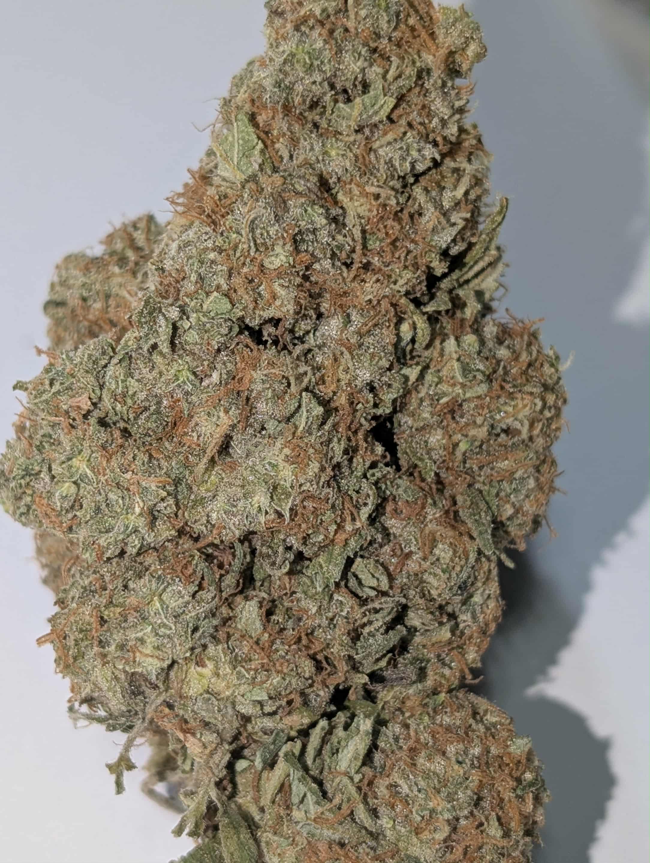 White Fire OG - indica dom Rating: 40-80