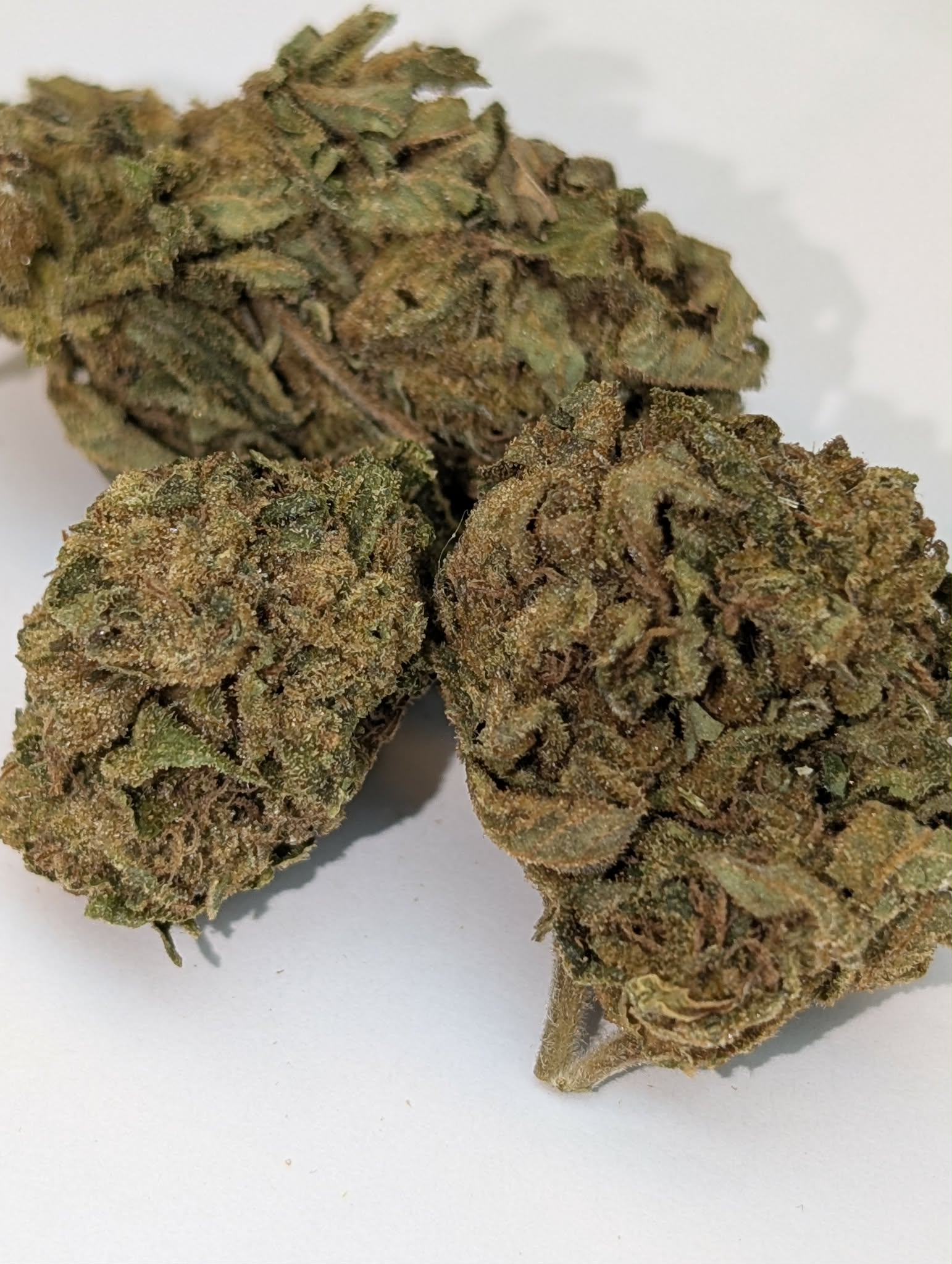 Motorbreath - indica dom          Rating: 40-70